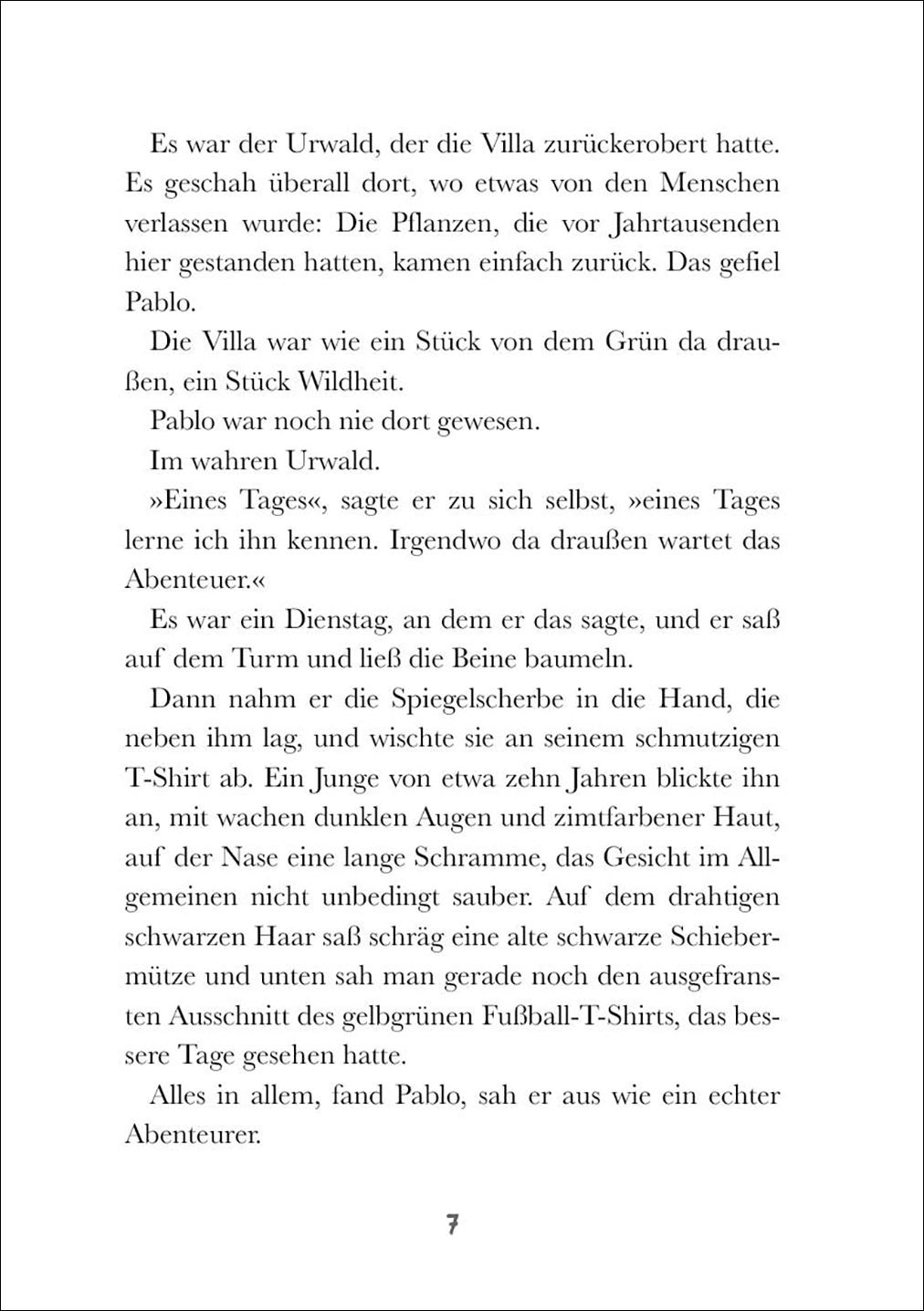 Beispielinhalt (Bild) Die Amazonas-Detektive (Band 1) - Verschwörung im Dschungel
