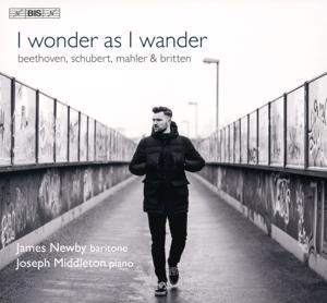 Vorderes Coverbild I wonder as I wander