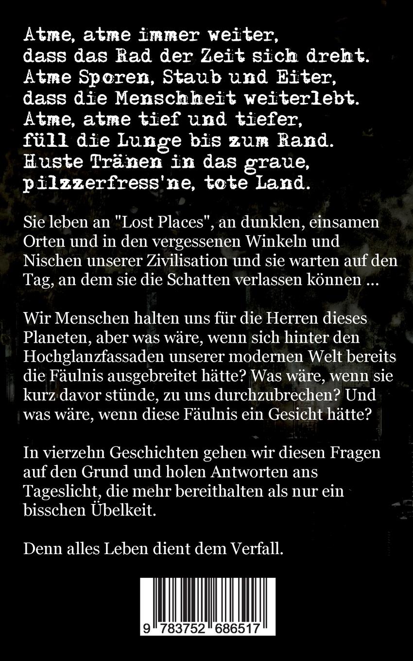 Rückseitencover Hüter des Verfalls