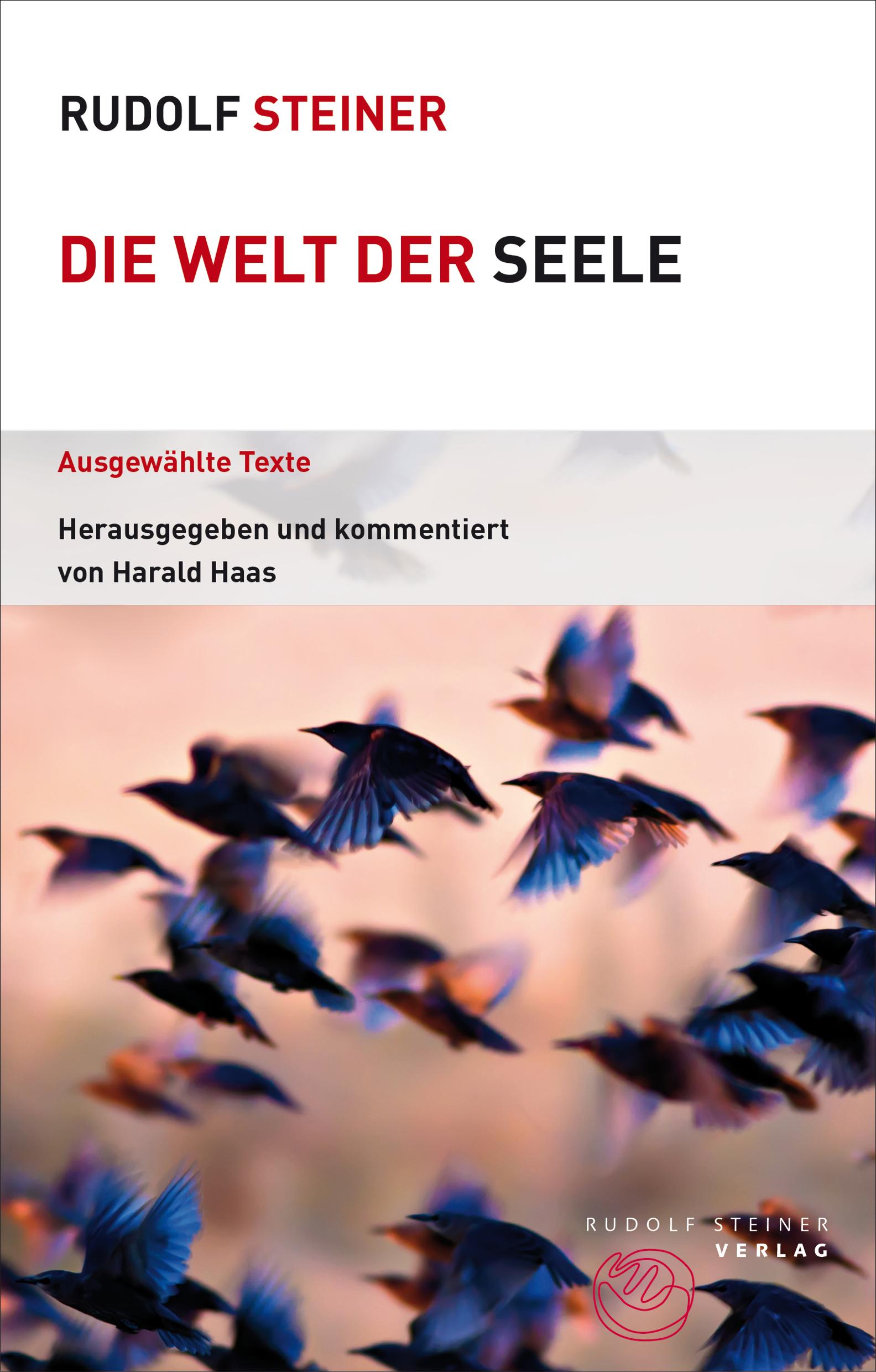 Vorderes Coverbild Die Welt der Seele