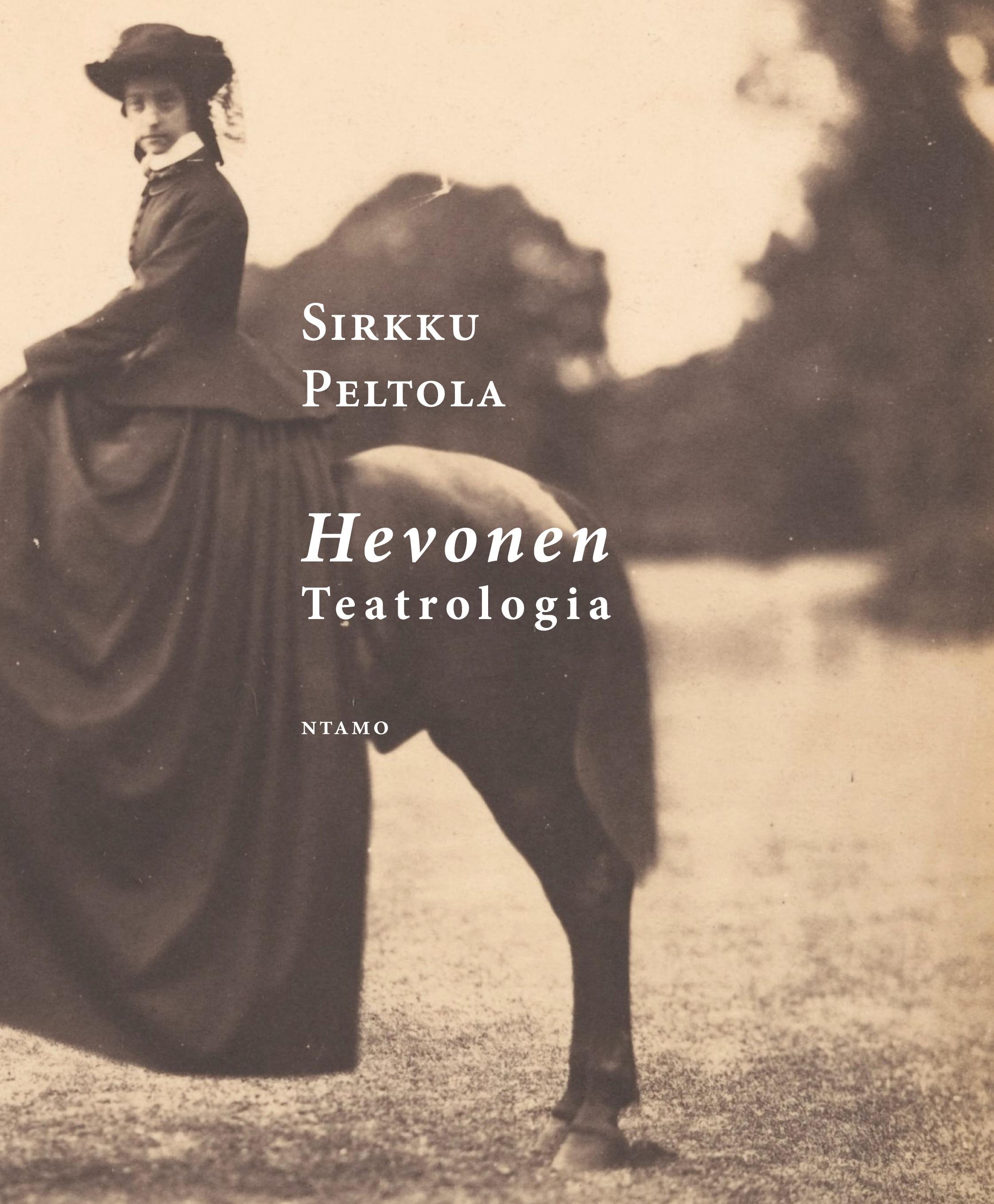 Vorderes Coverbild Hevonen