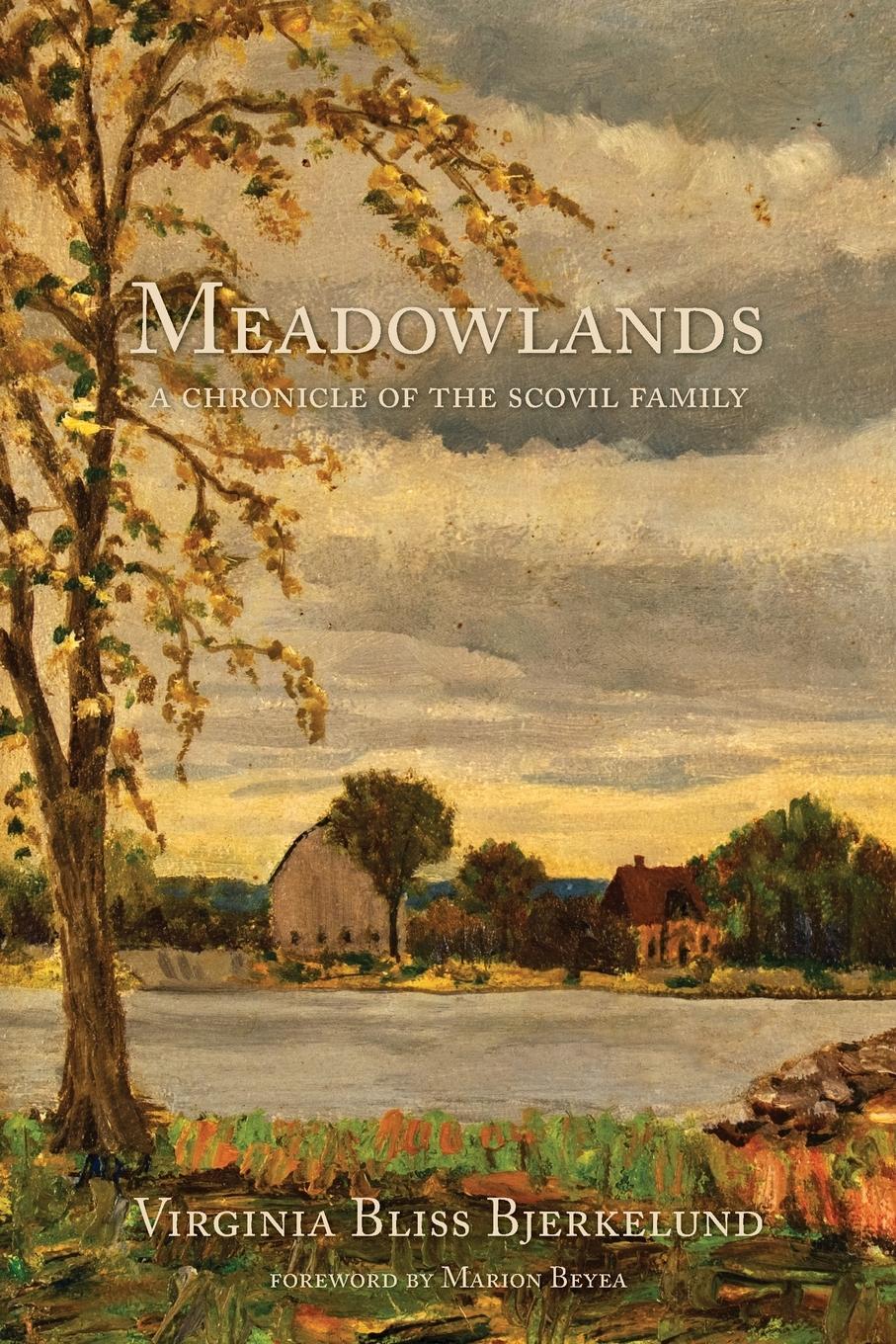 Vorderes Coverbild Meadowlands