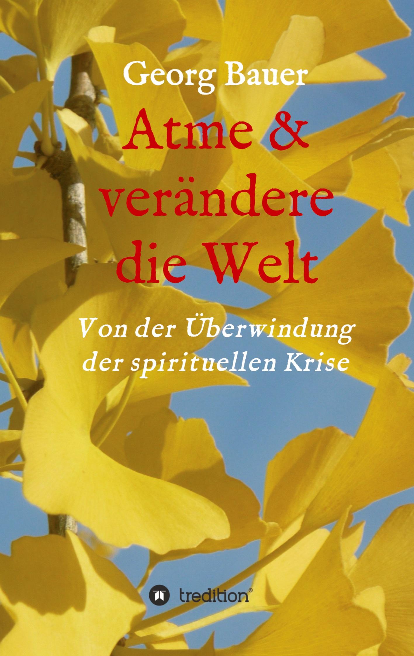 Vorderes Coverbild Atme & verändere die Welt