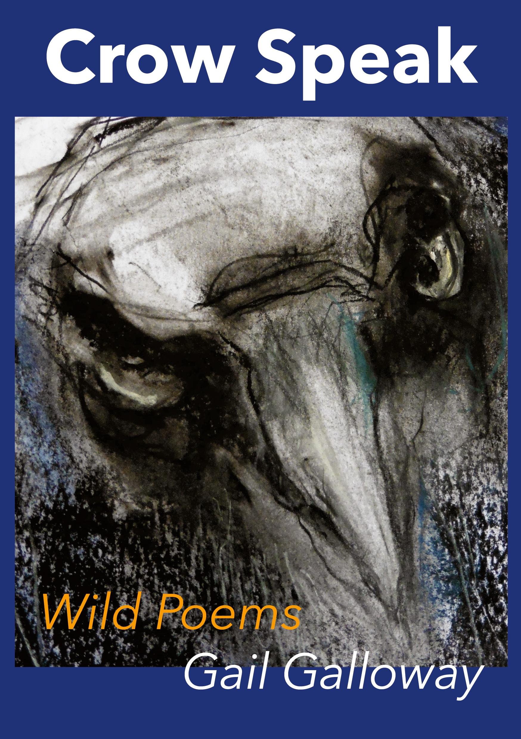 Vorderes Coverbild Crow Speak