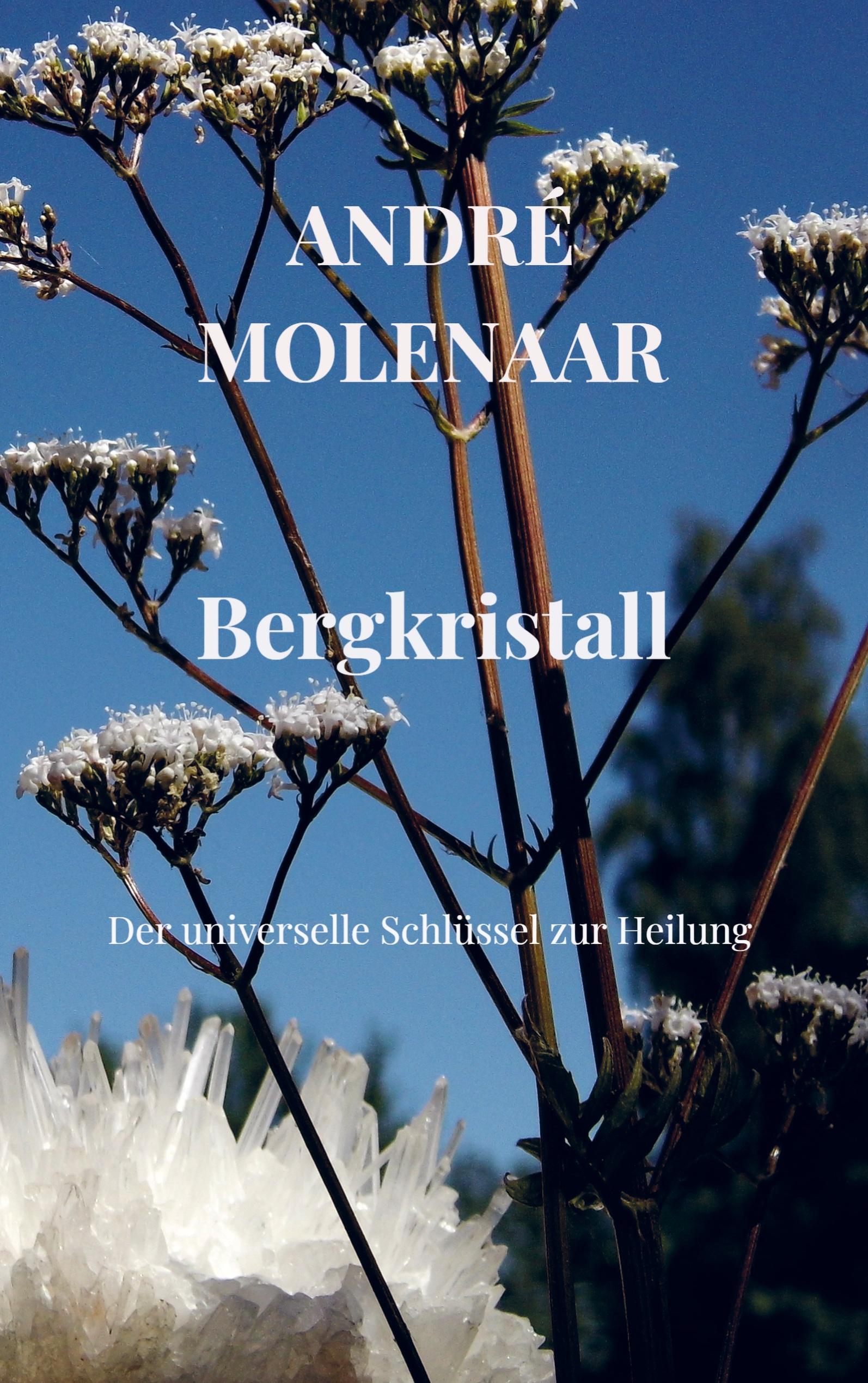 Vorderes Coverbild Bergkristall