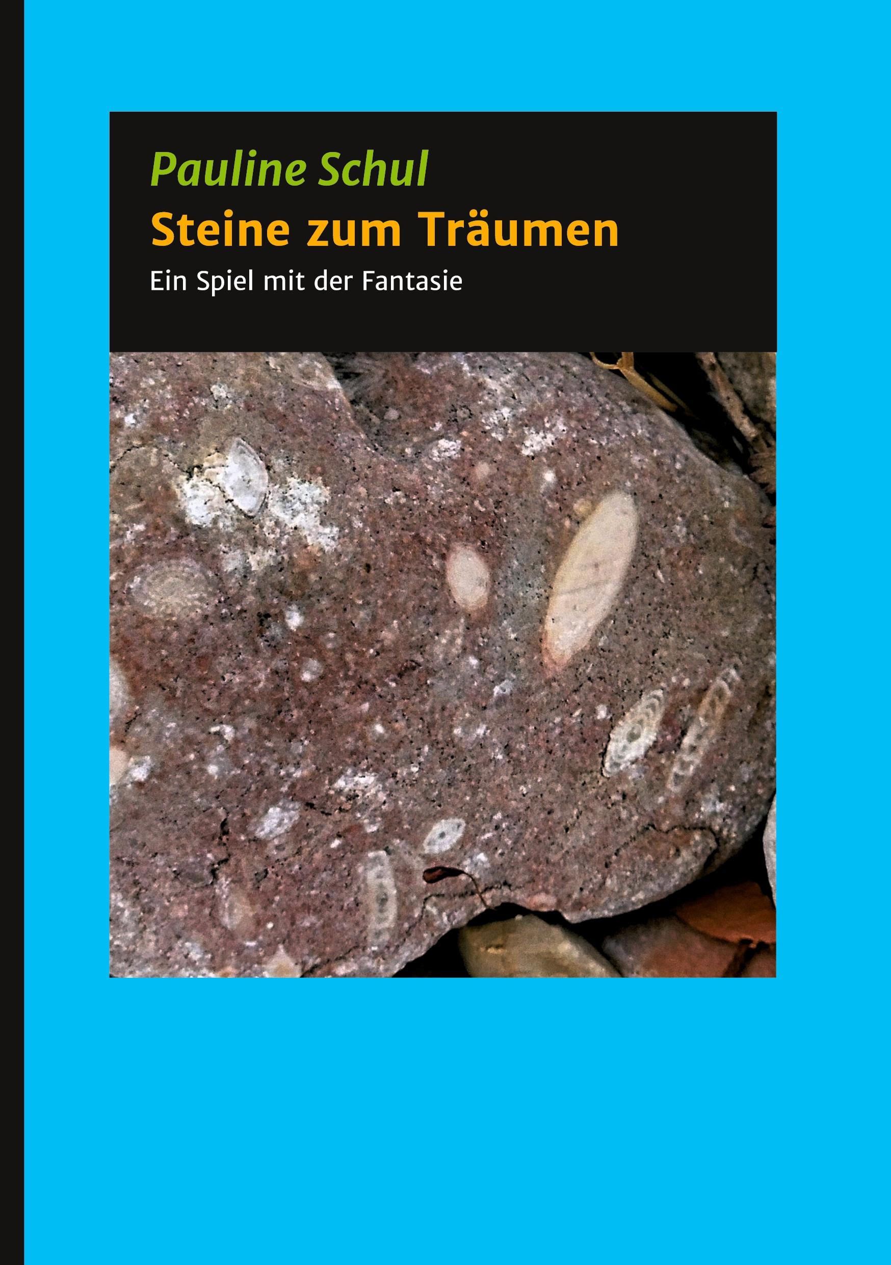 Vorderes Coverbild Steine zum Träumen