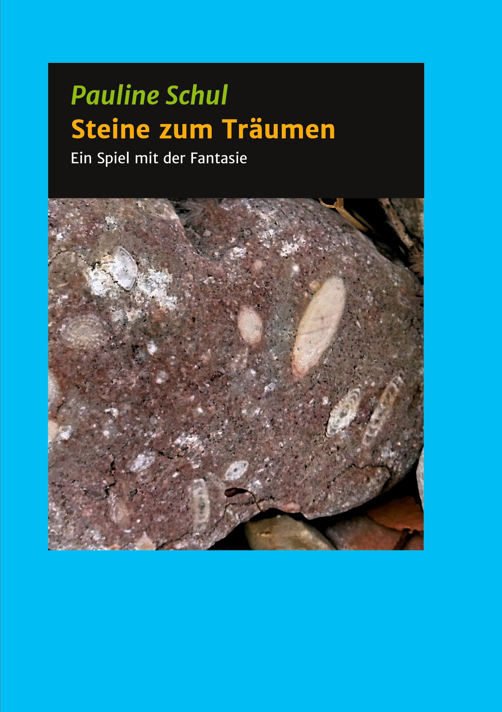 Vorderes Coverbild Steine zum Träumen