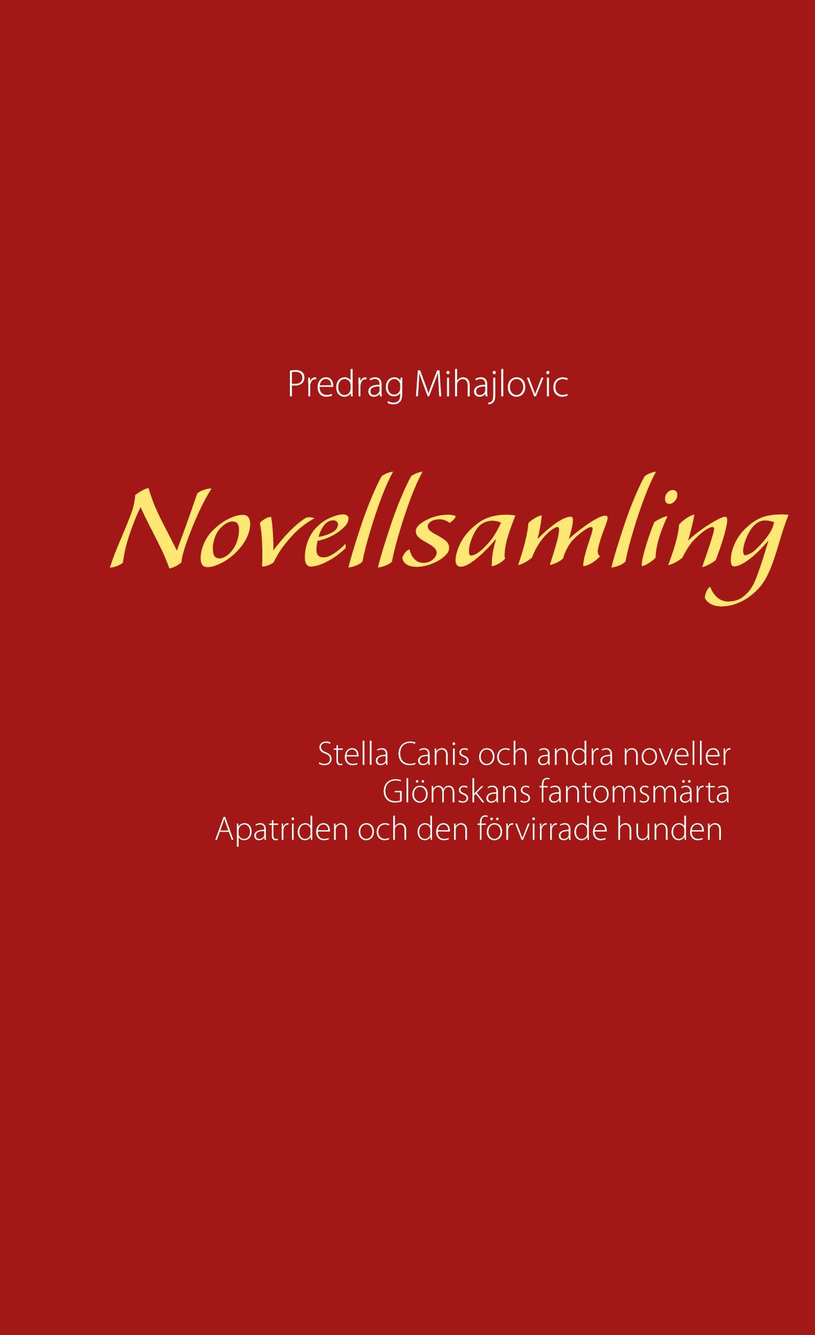 Vorderes Coverbild Novellsamling