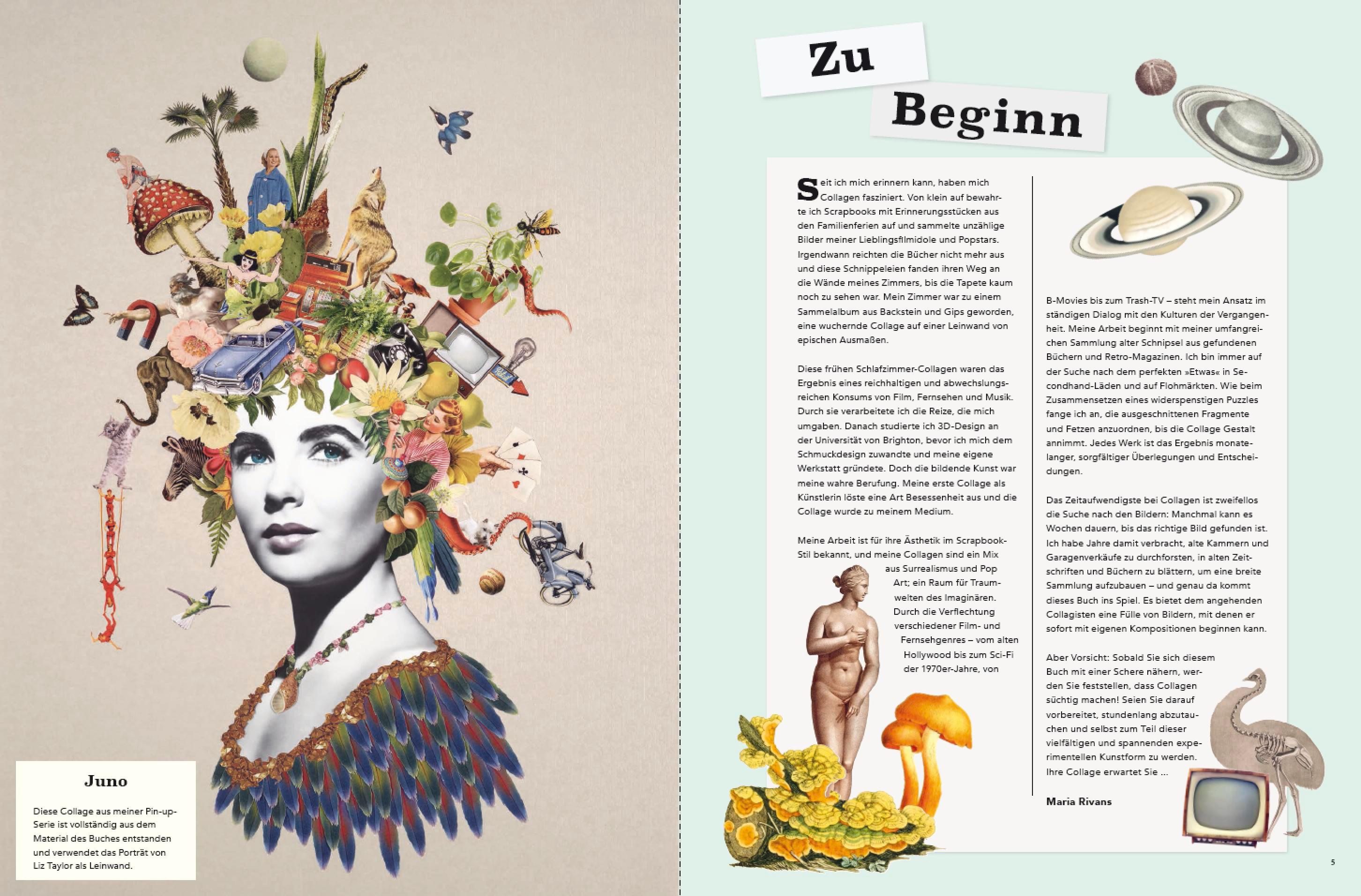 Beispielinhalt (Bild) Das große Buch der Collagen