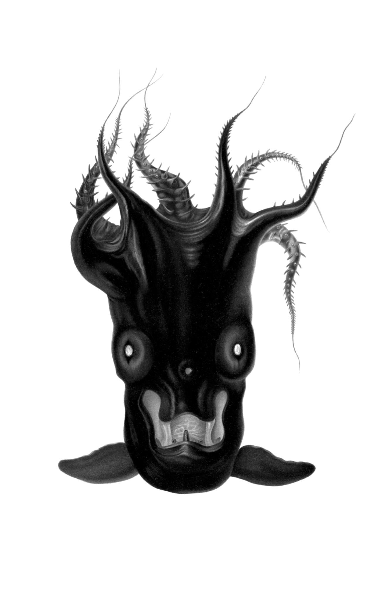 Vorderes Coverbild Lumpenbalzac