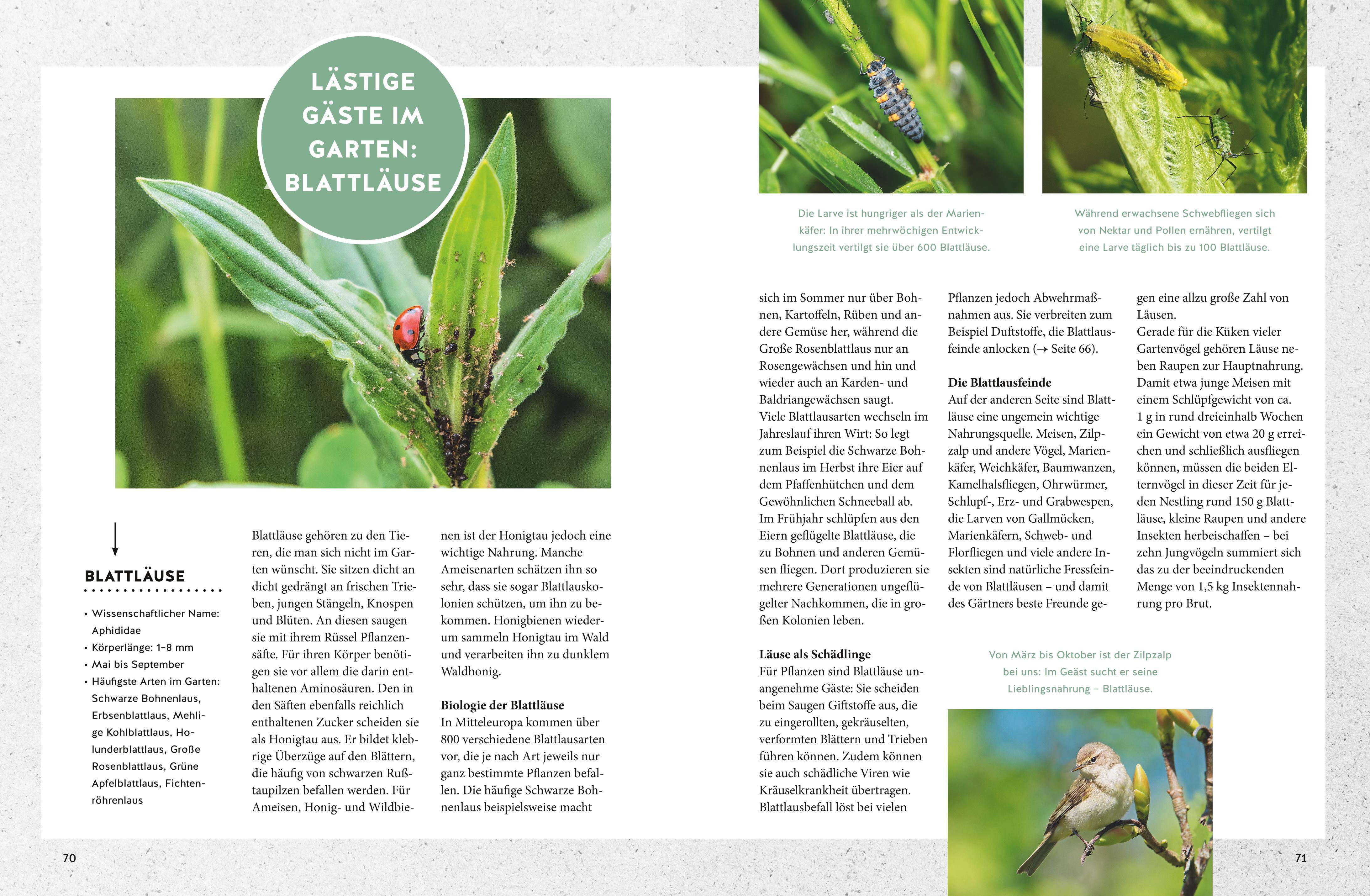 Beispielinhalt (Bild) Jede Blüte zählt!