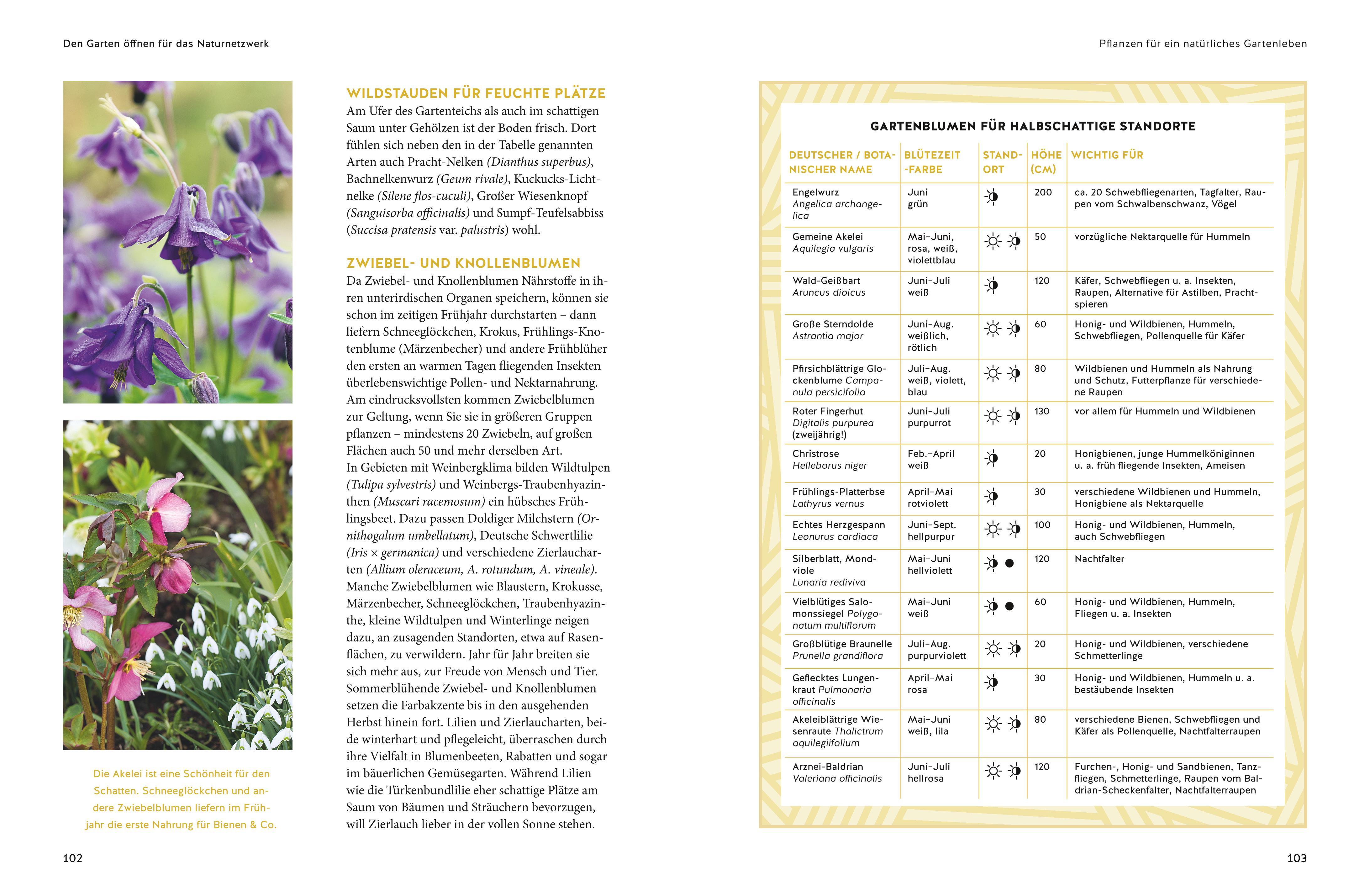 Beispielinhalt (Bild) Jede Blüte zählt!