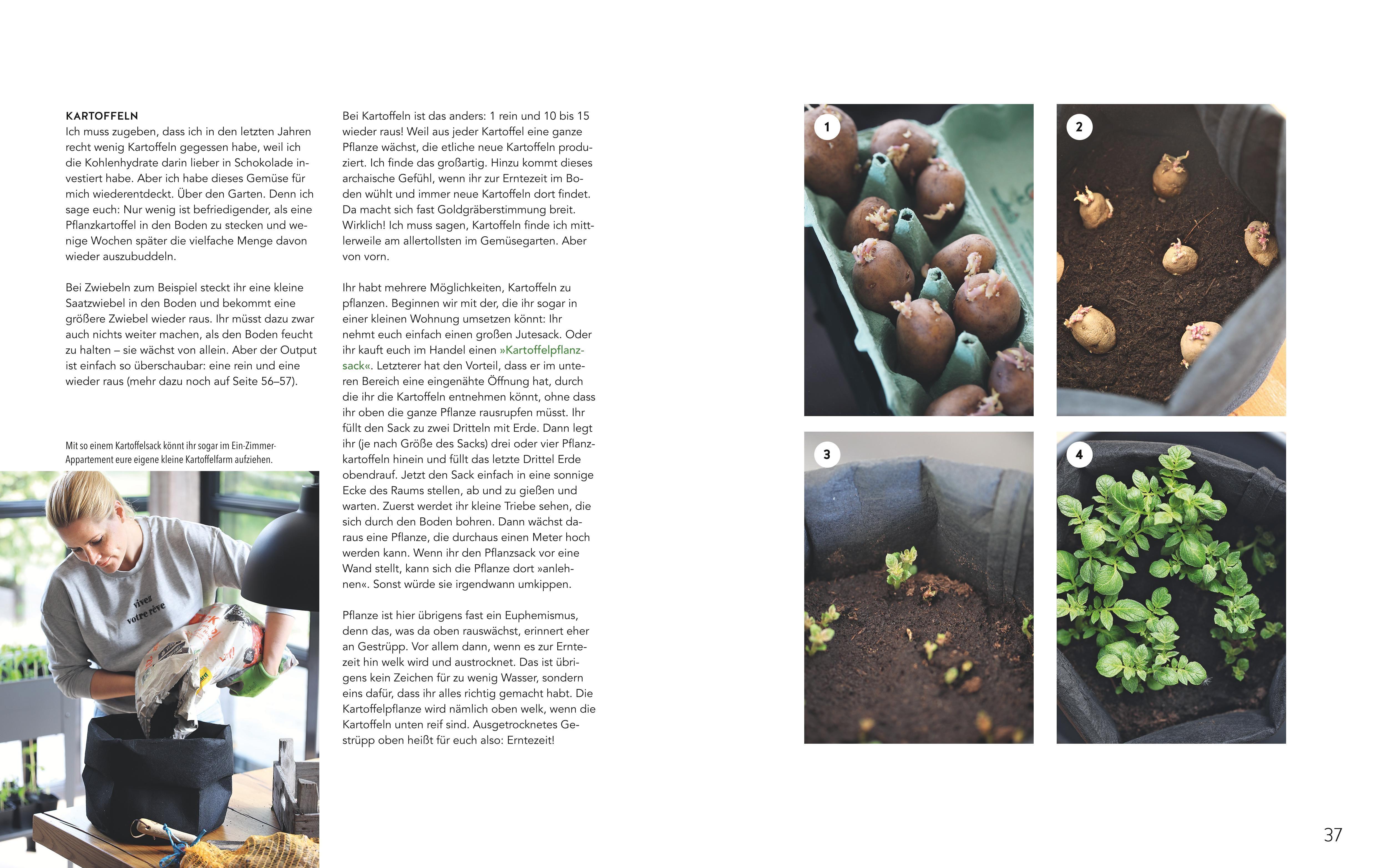 Beispielinhalt (Bild) Homefarming