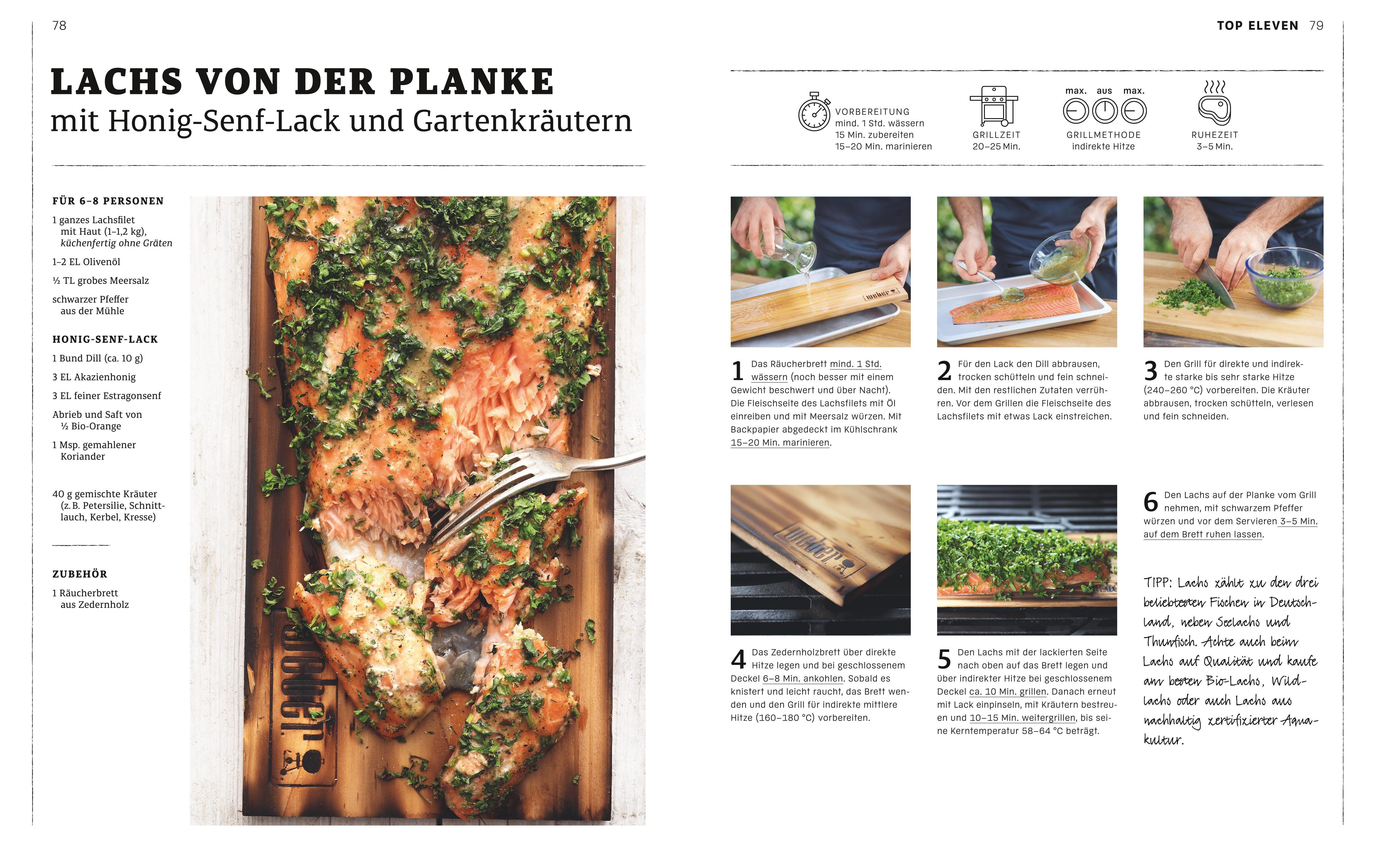 Beispielinhalt (Bild) Weber's Gasgrillbibel