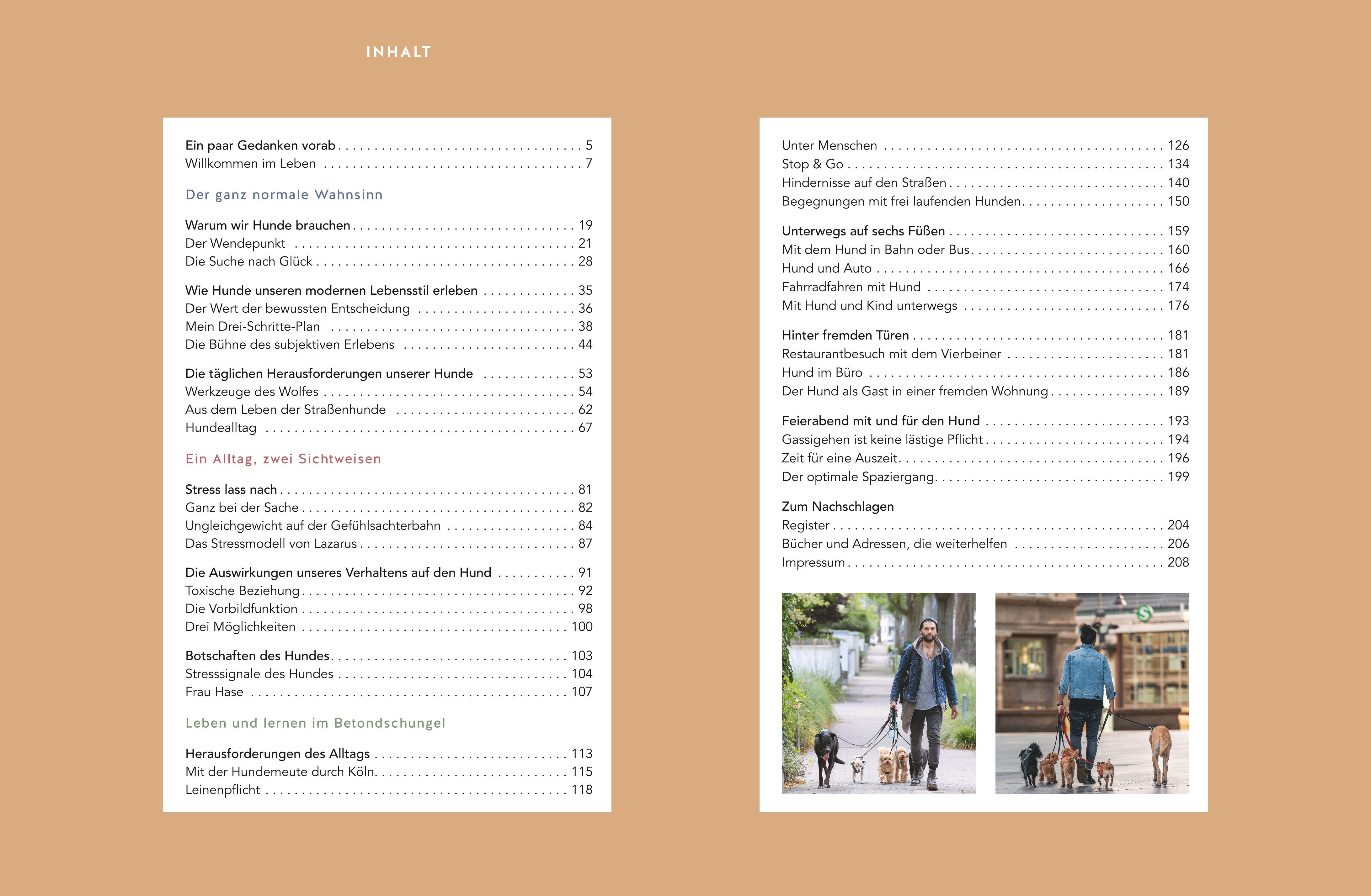 Beispielinhalt (Bild) Stadt-Wölfe