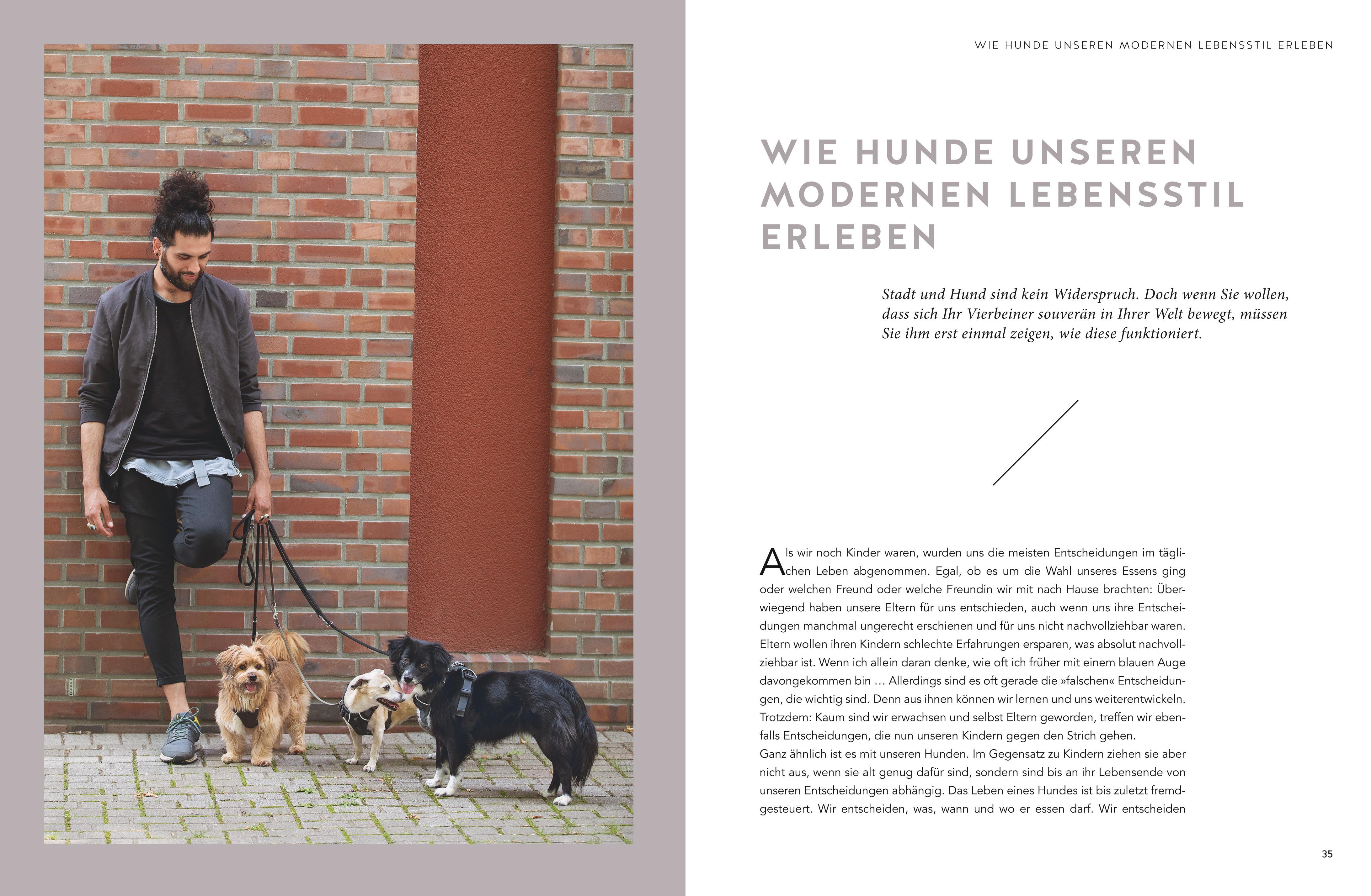 Beispielinhalt (Bild) Stadt-Wölfe