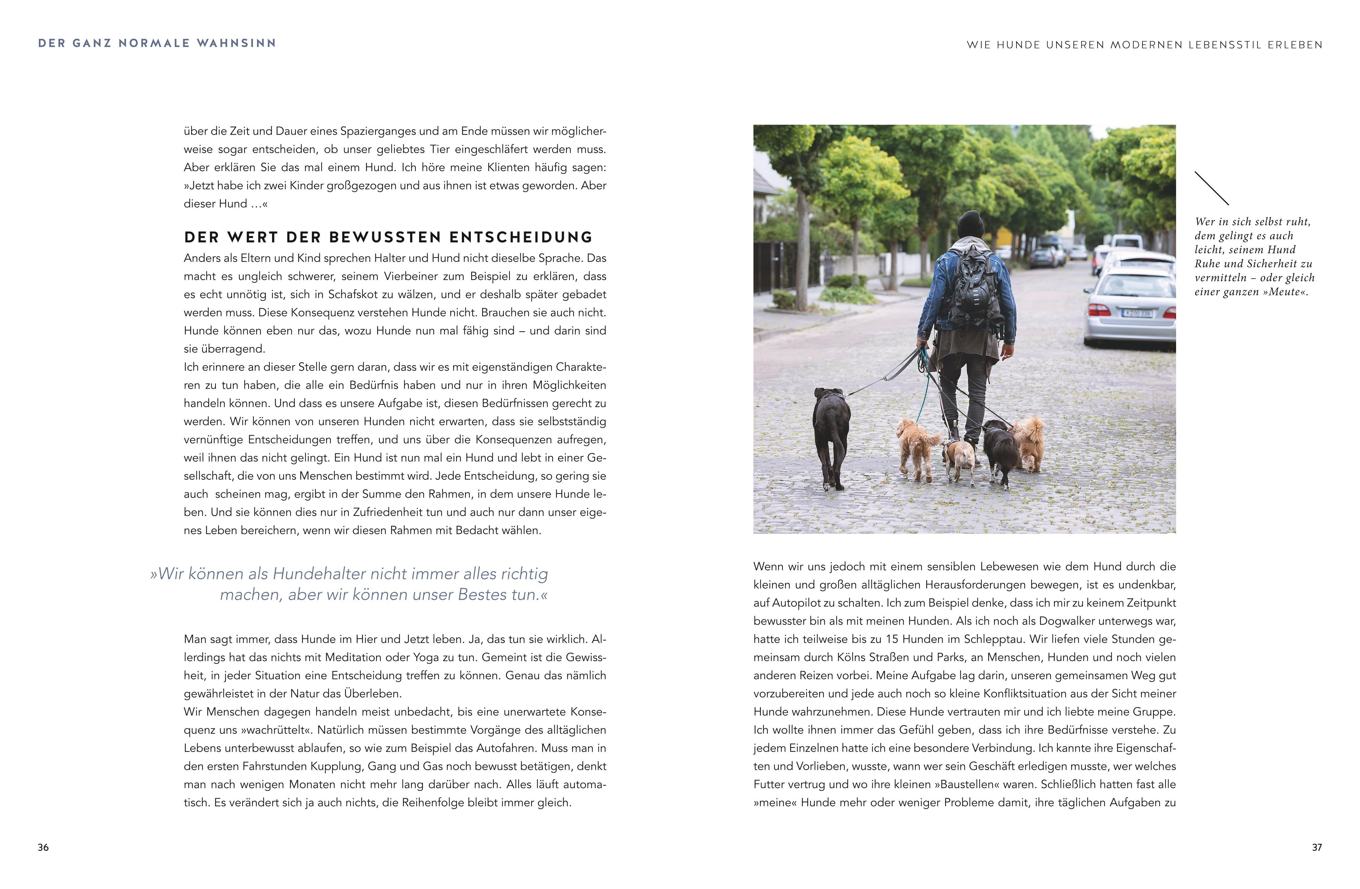 Beispielinhalt (Bild) Stadt-Wölfe