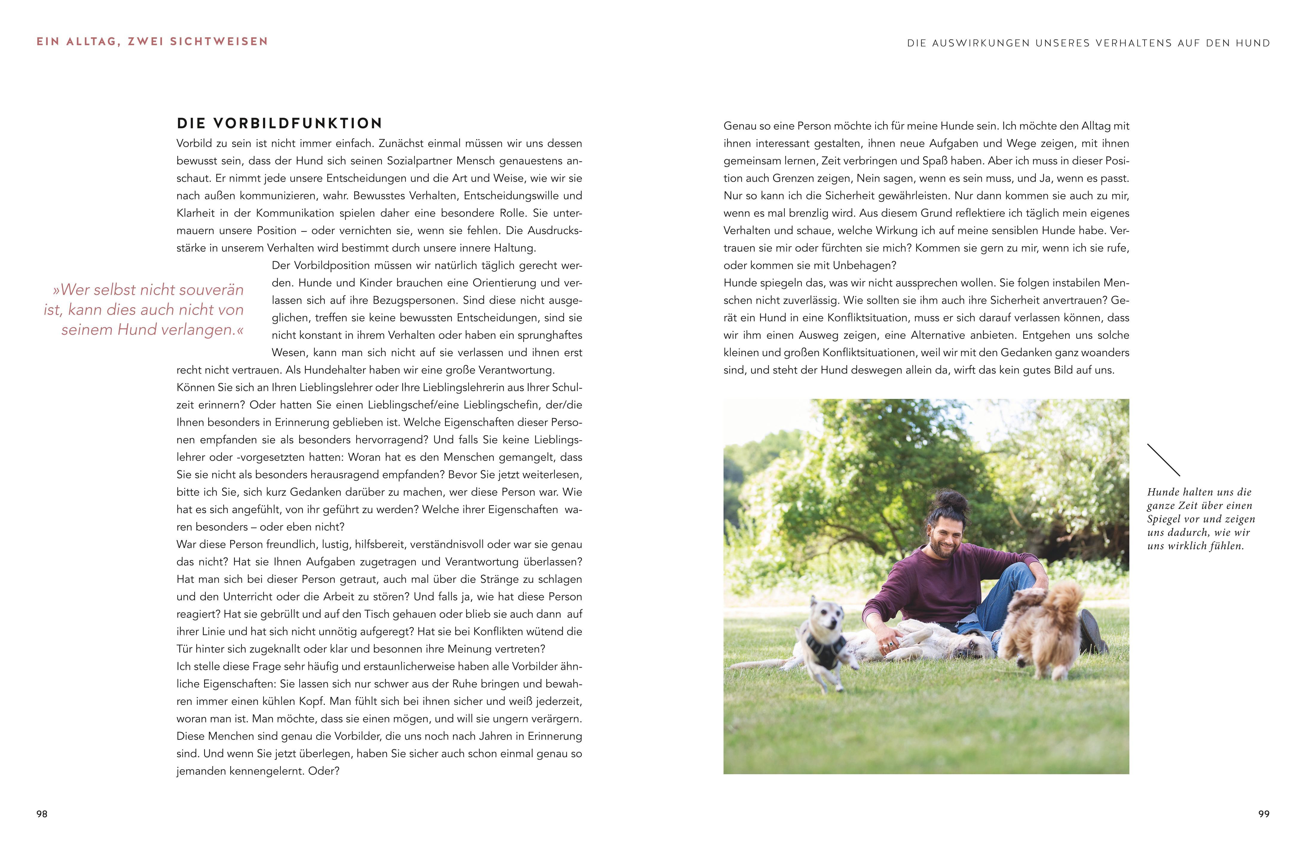 Beispielinhalt (Bild) Stadt-Wölfe