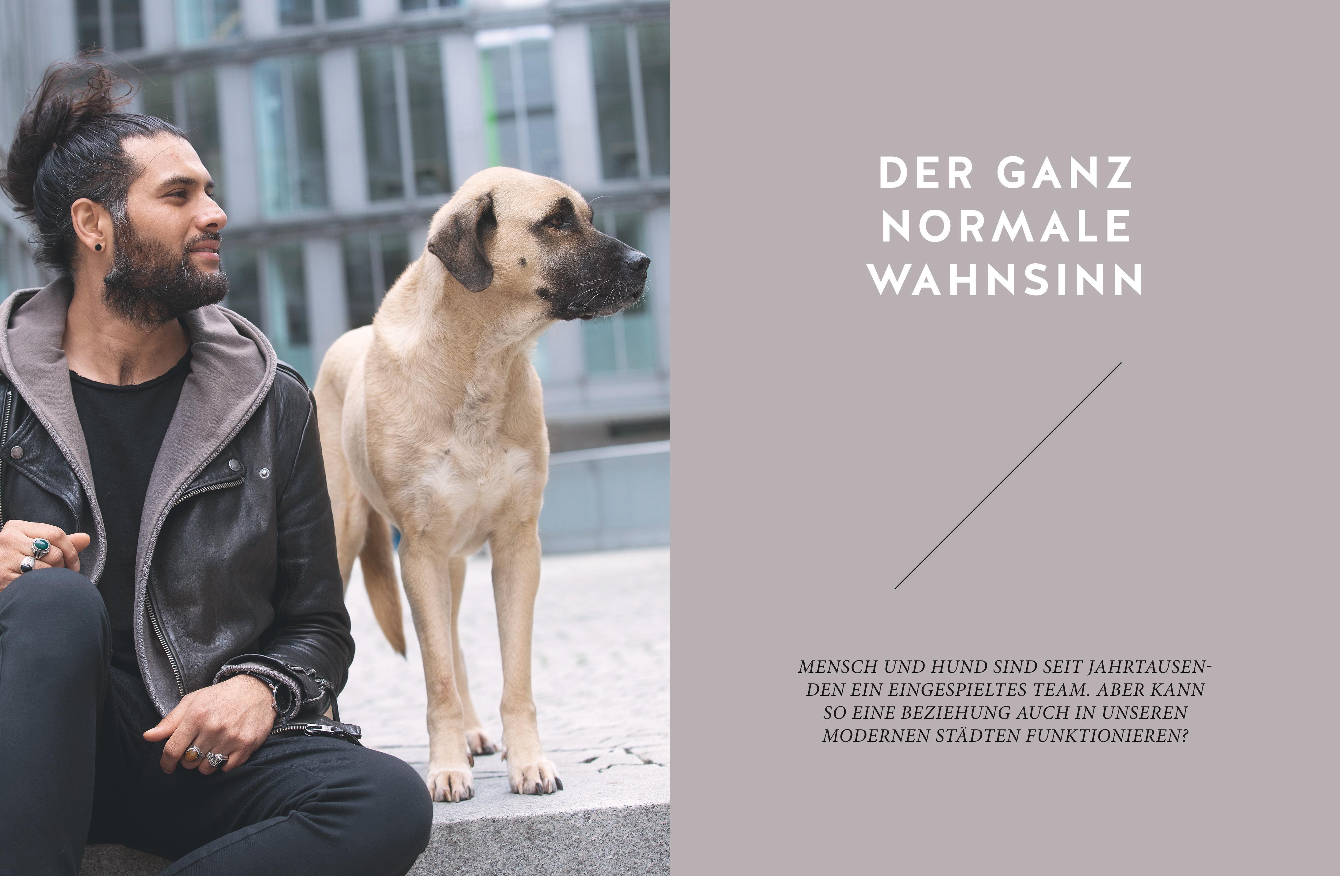 Beispielinhalt (Bild) Stadt-Wölfe