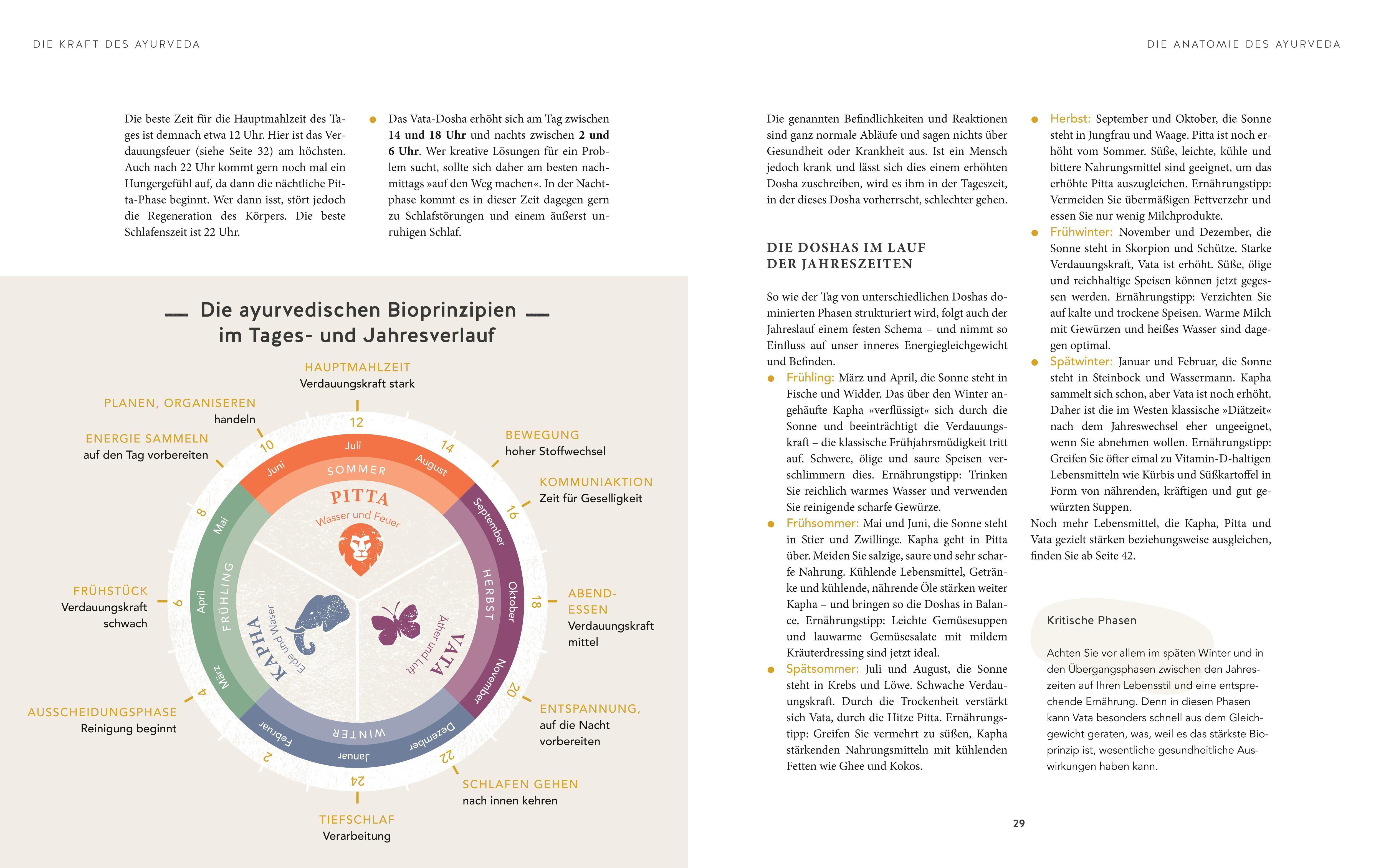 Beispielinhalt (Bild) Heilsam kochen mit Ayurveda