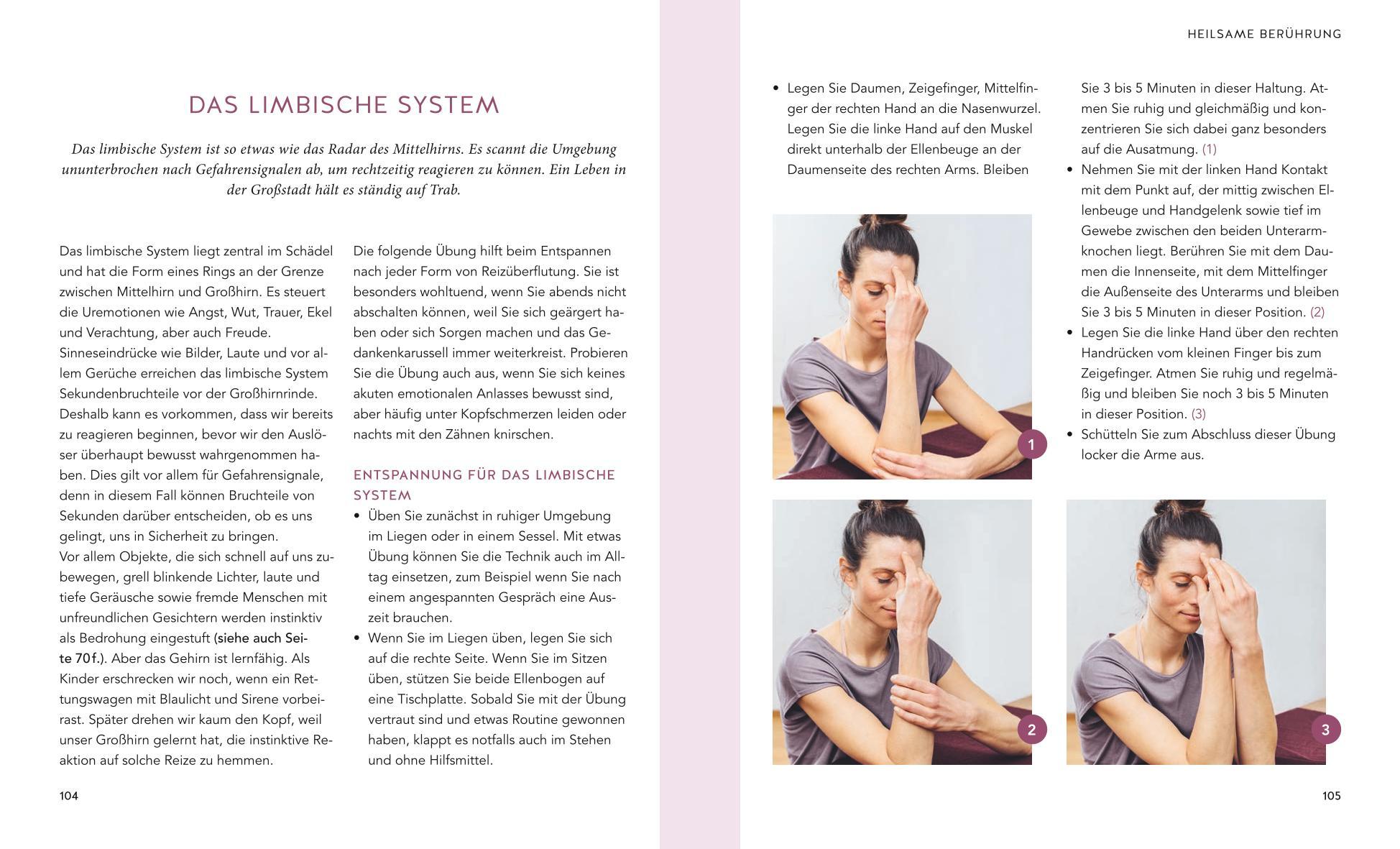 Beispielinhalt (Bild) Das Vagus-Training