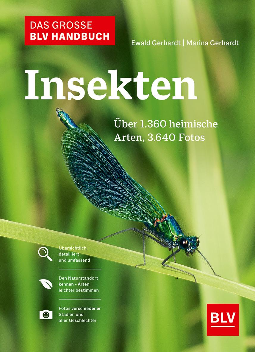 Vorderes Coverbild Das große BLV Handbuch Insekten