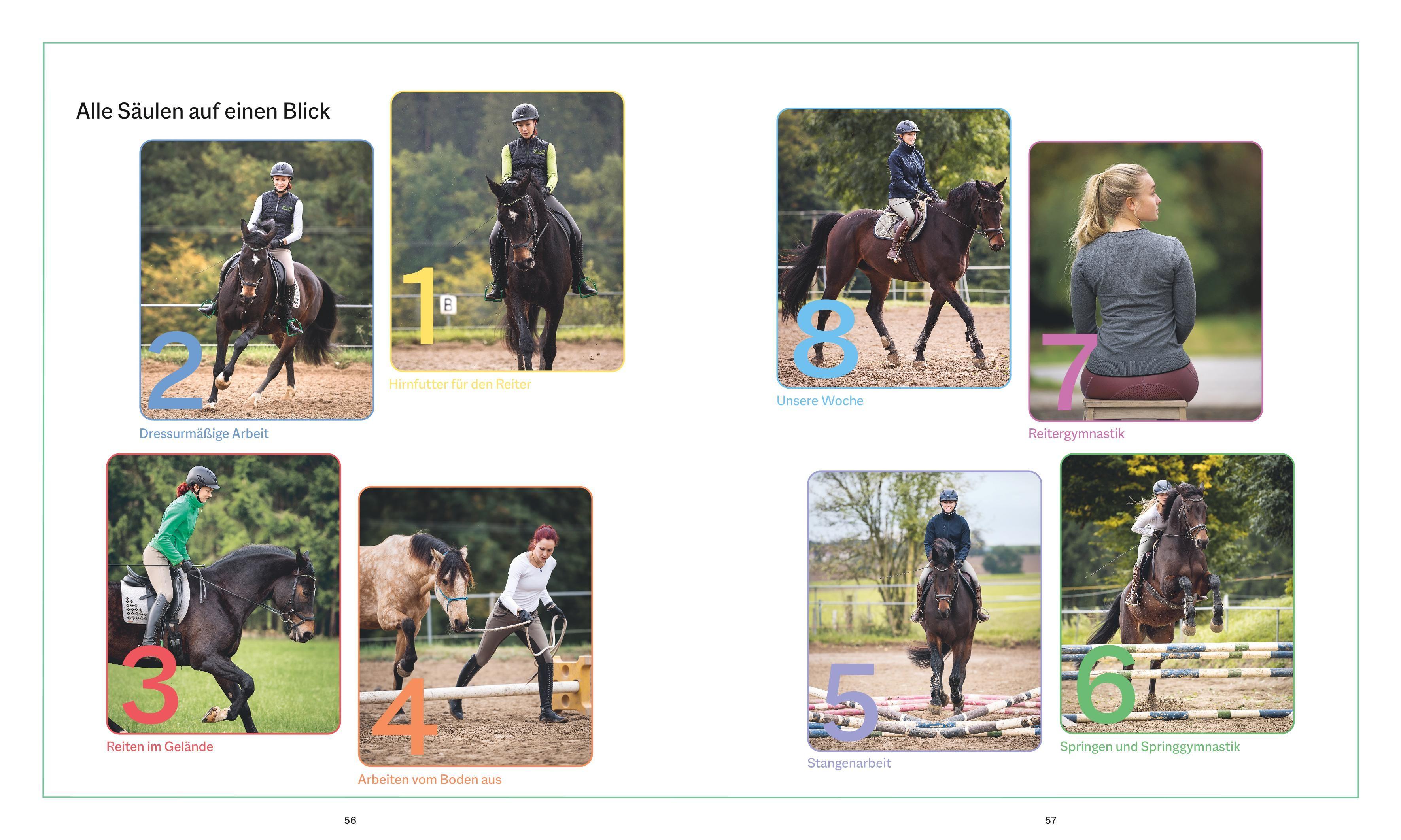 Beispielinhalt (Bild) Die Reittrainings-Box