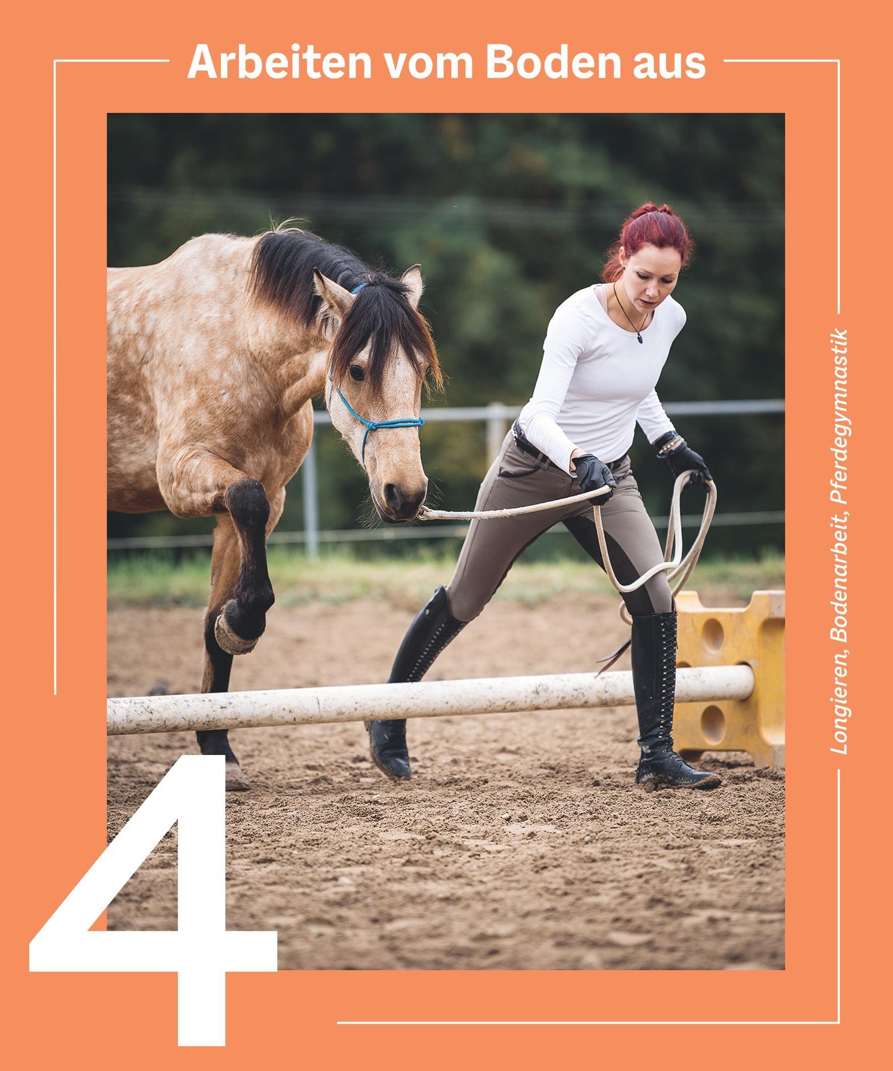 Beispielinhalt (Bild) Die Reittrainings-Box