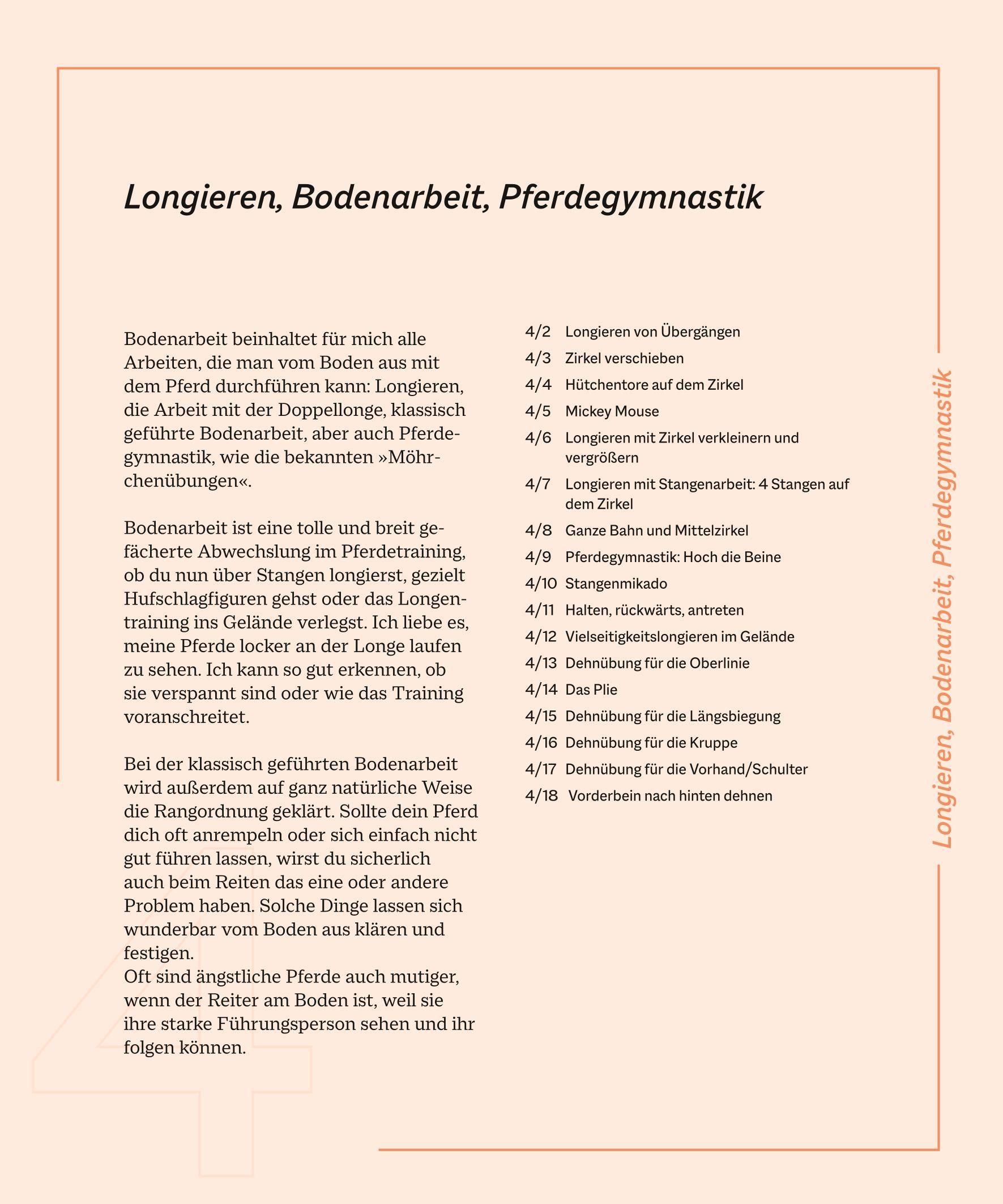 Beispielinhalt (Bild) Die Reittrainings-Box