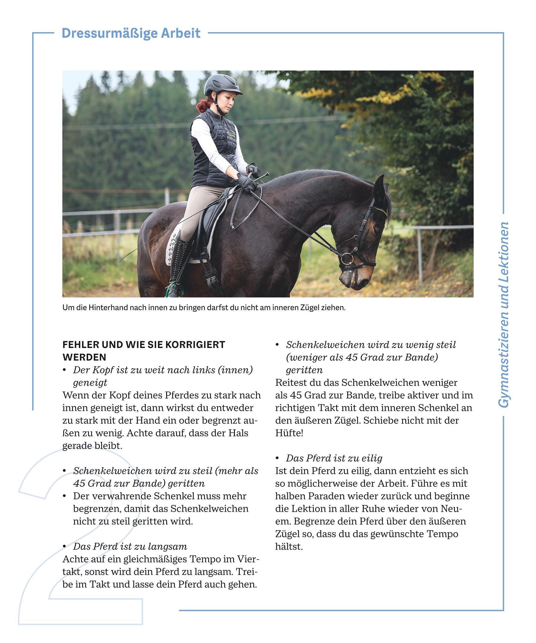 Beispielinhalt (Bild) Die Reittrainings-Box