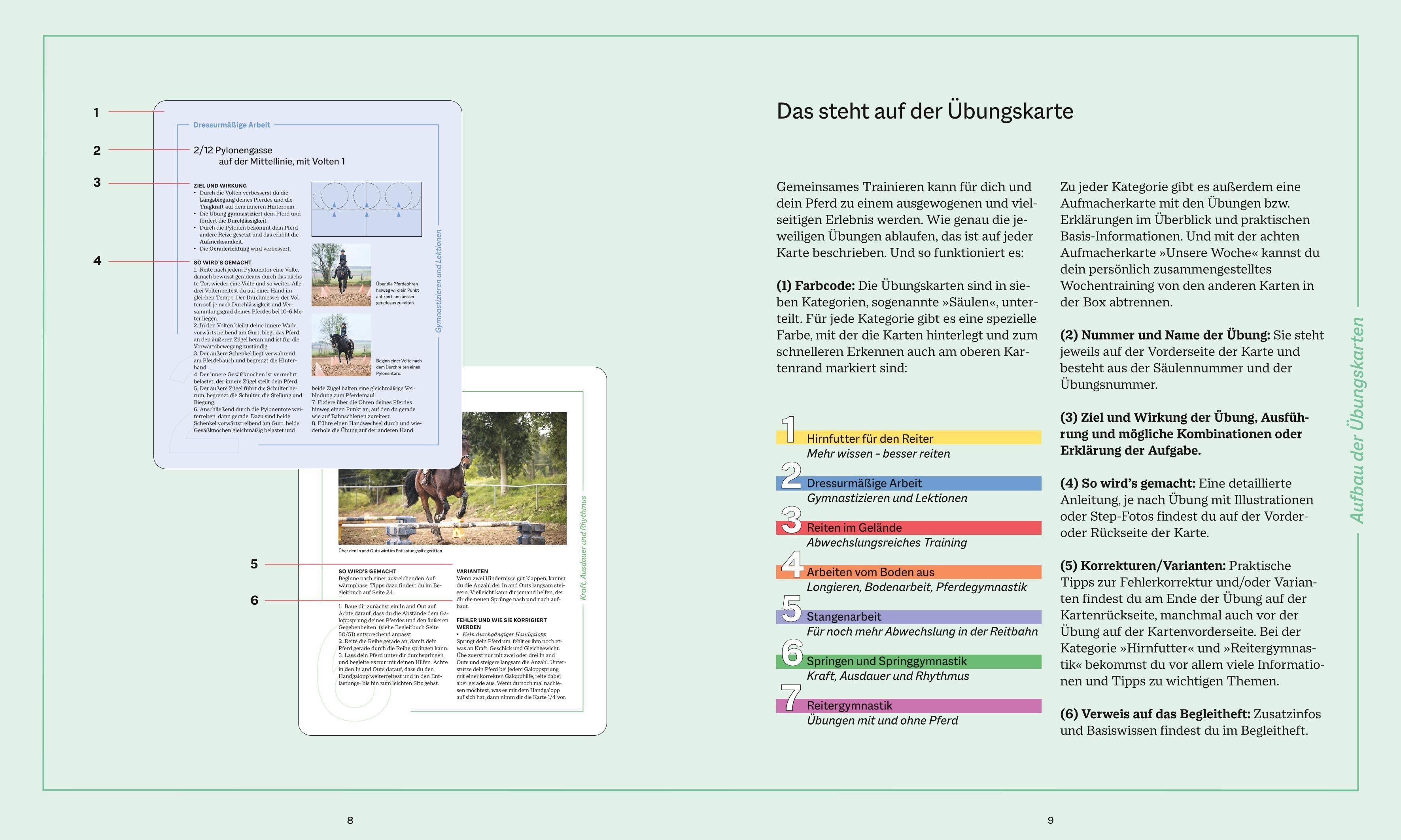Beispielinhalt (Bild) Die Reittrainings-Box