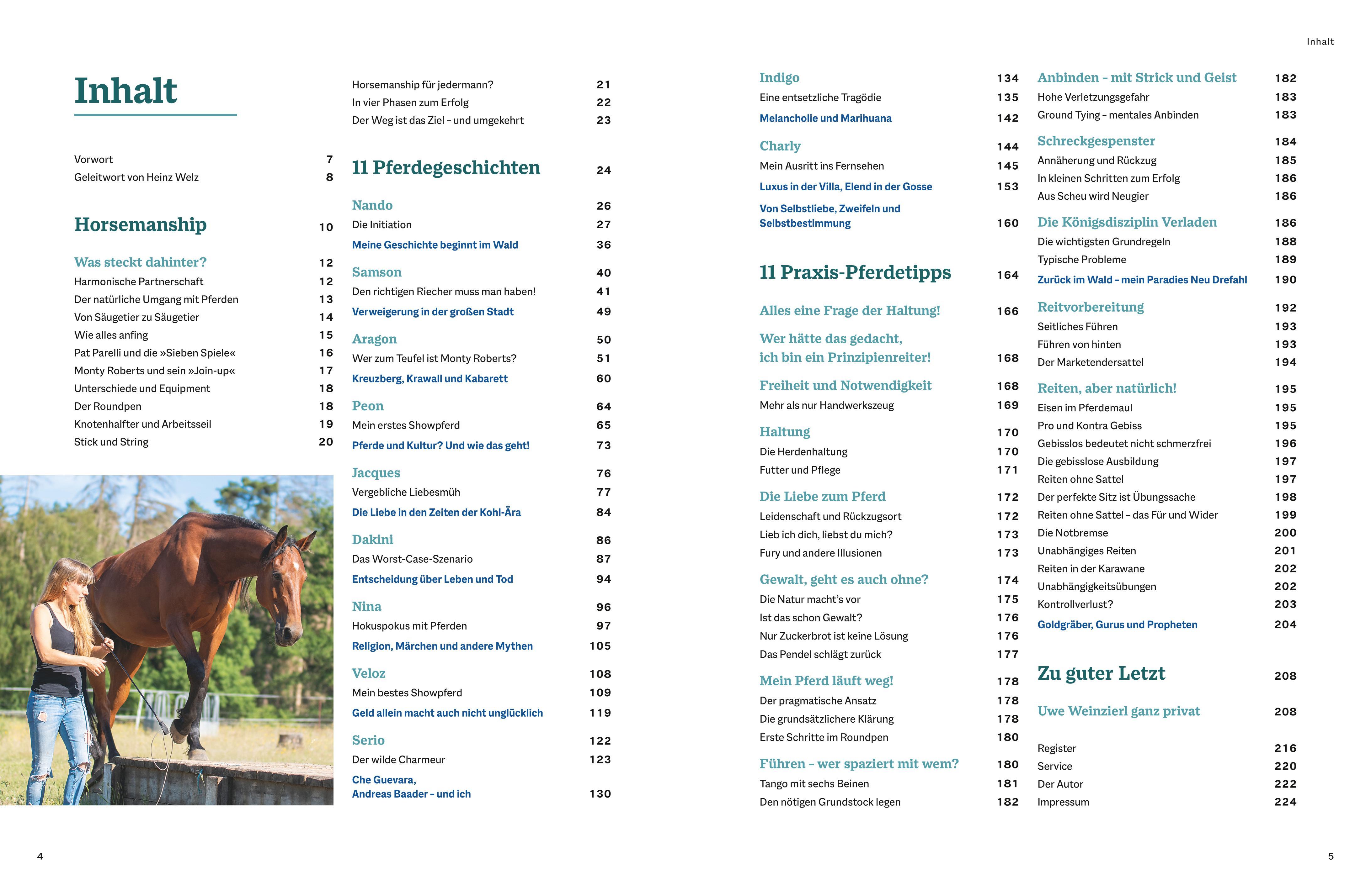 Beispielinhalt (Bild) Der Pferdeversteher
