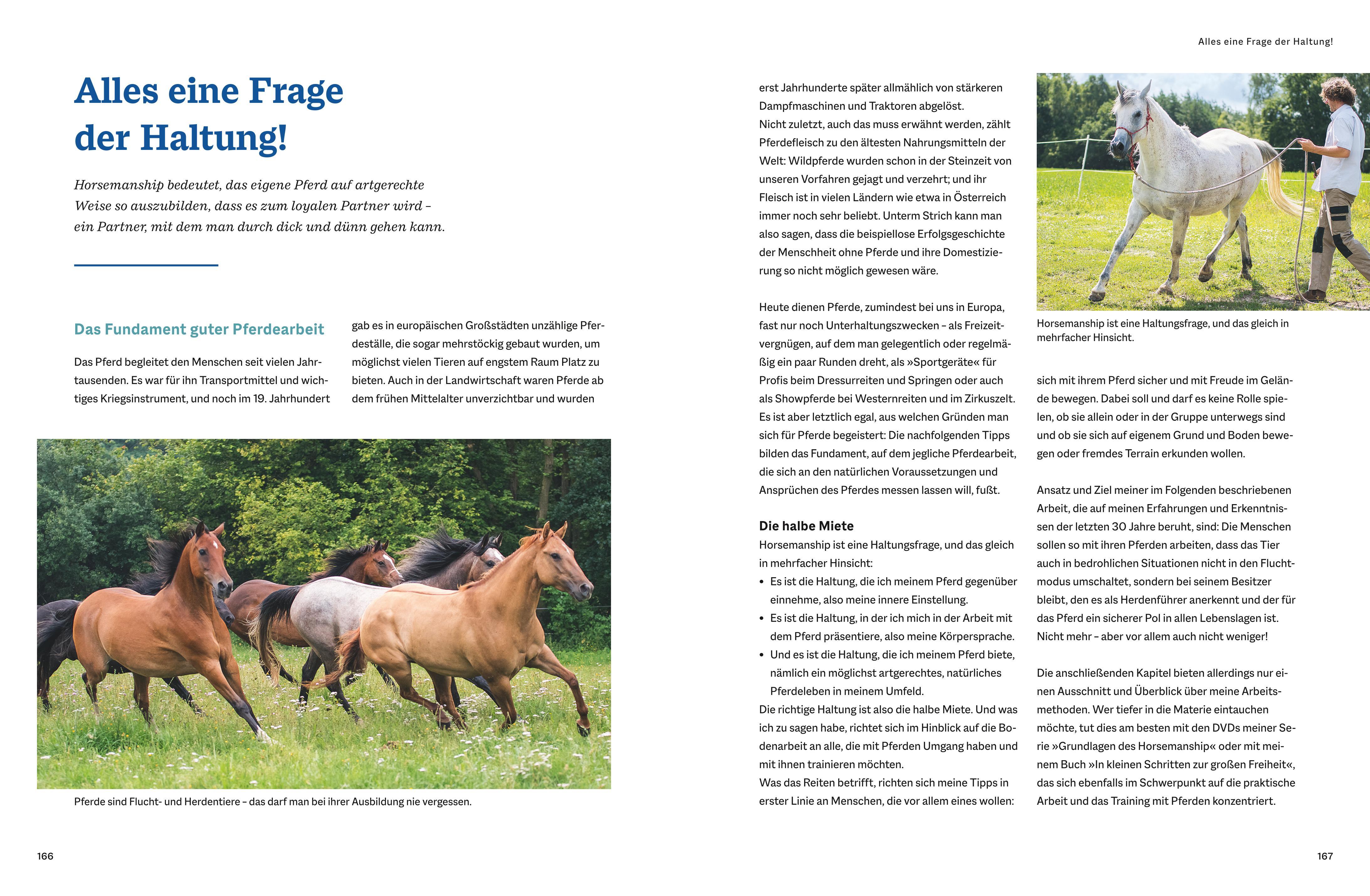 Beispielinhalt (Bild) Der Pferdeversteher