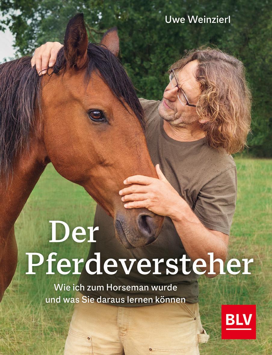 Vorderes Coverbild Der Pferdeversteher