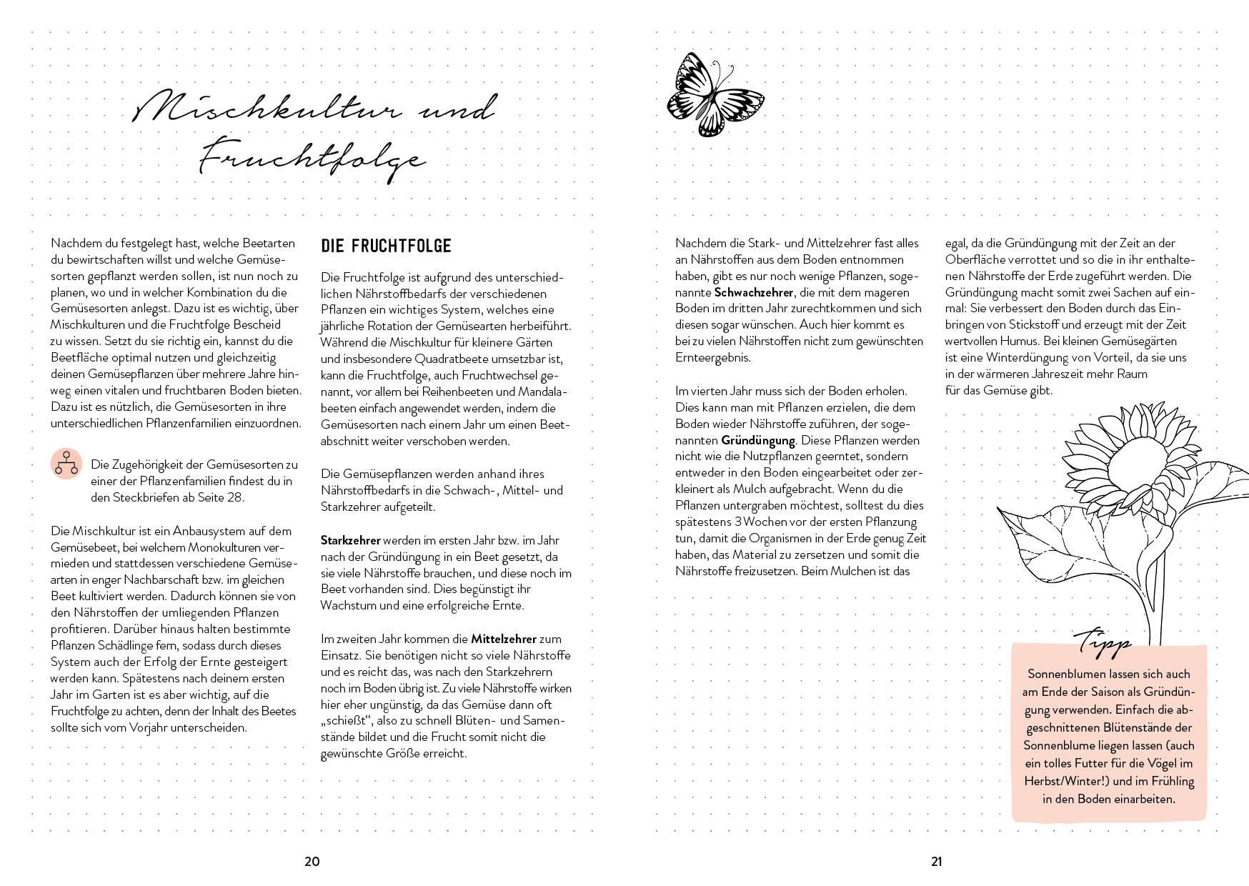 Beispielinhalt (Bild) Mein Garten - Das illustrierte Gartenbuch