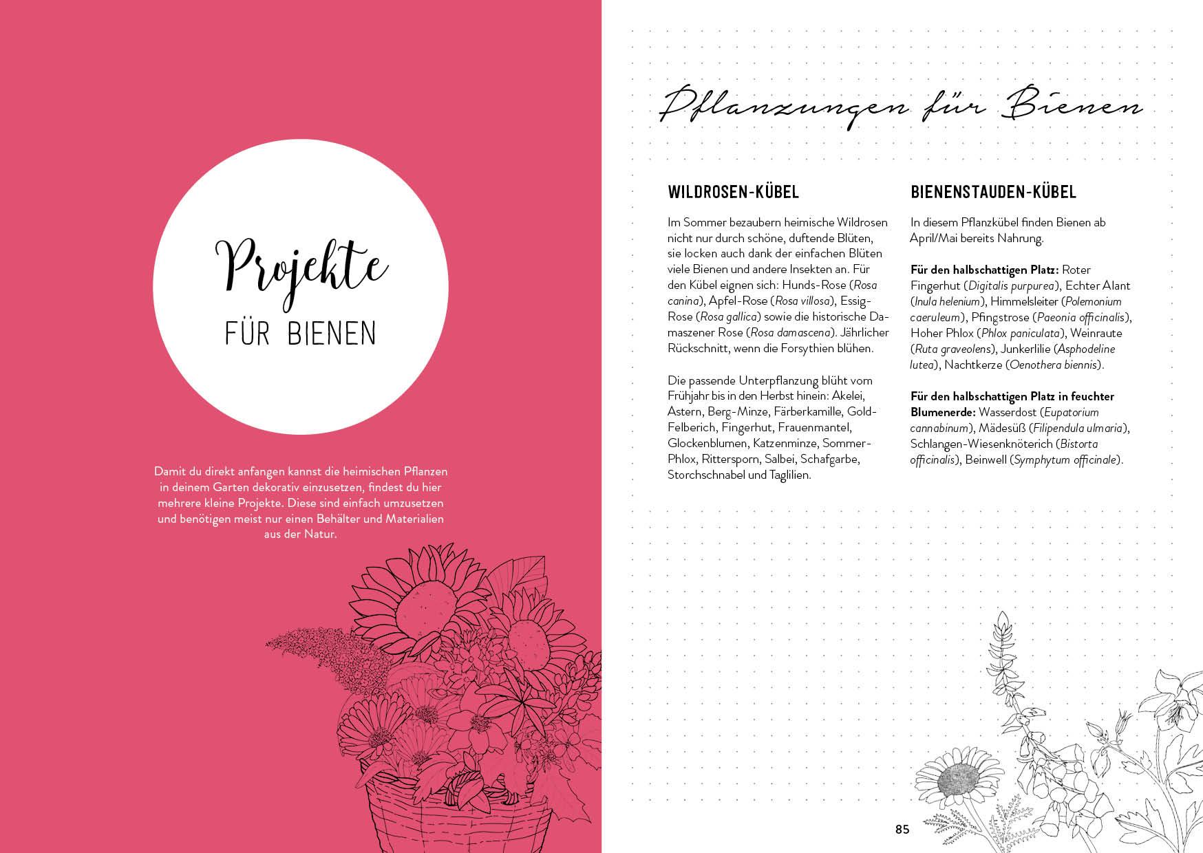 Beispielinhalt (Bild) Mein Garten - Das illustrierte Gartenbuch