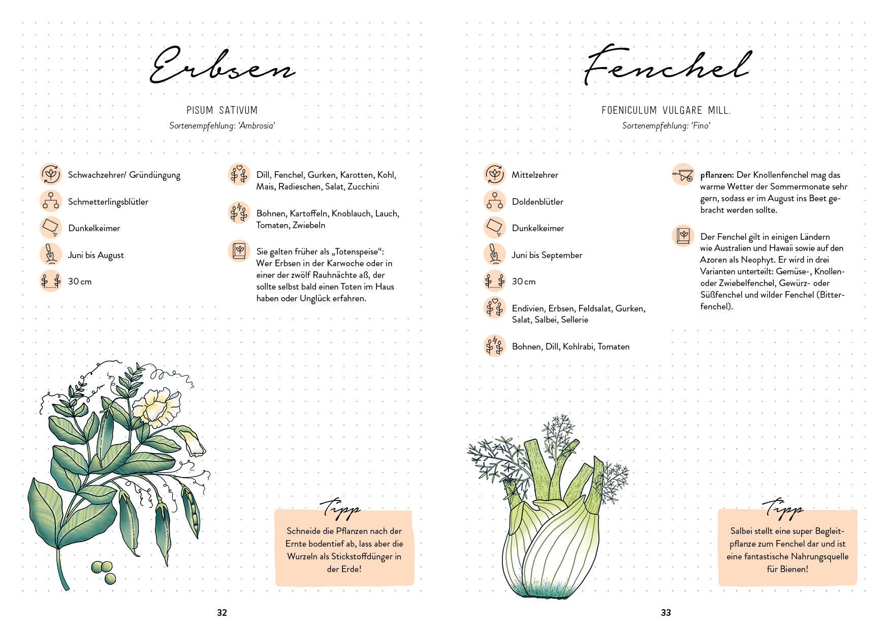 Beispielinhalt (Bild) Mein Garten - Das illustrierte Gartenbuch