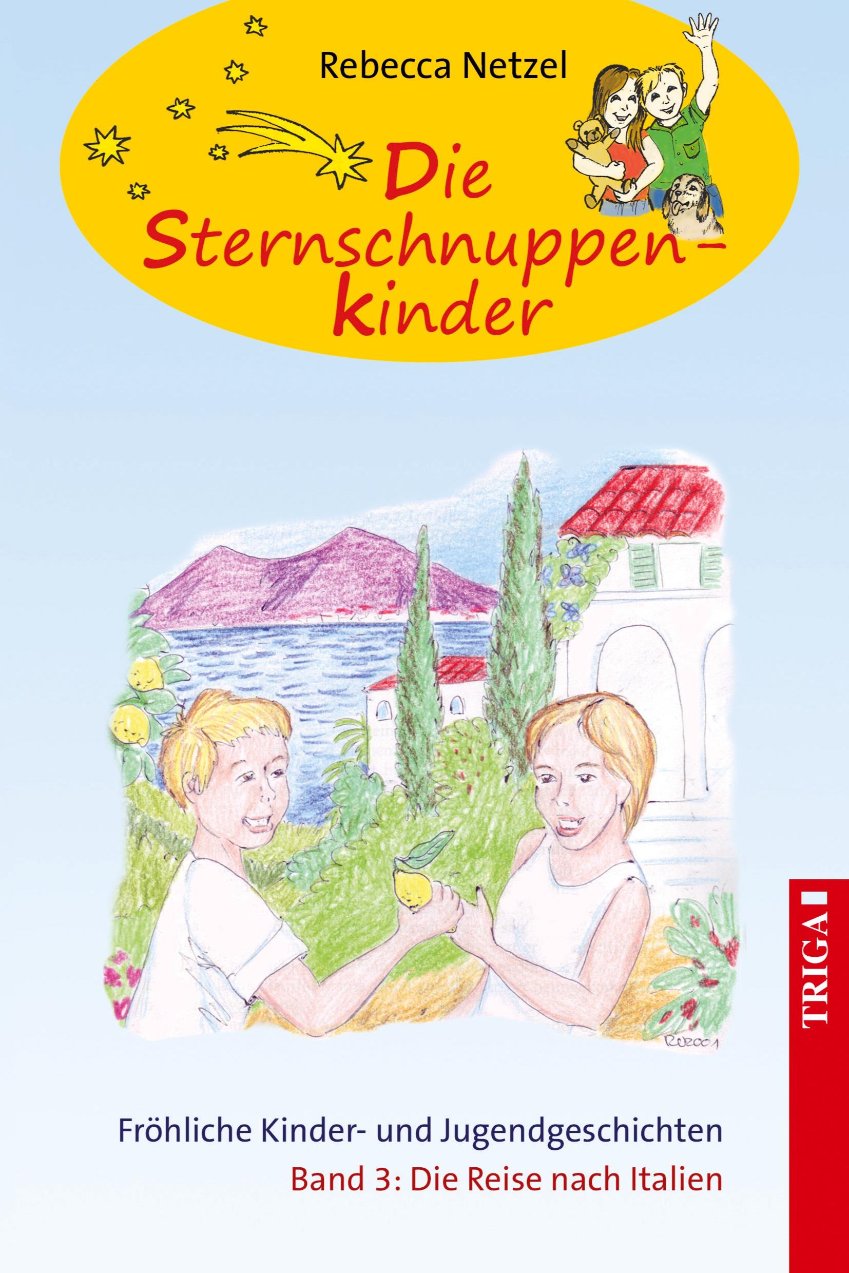 Vorderes Coverbild Sternschnuppenkinder Band 3