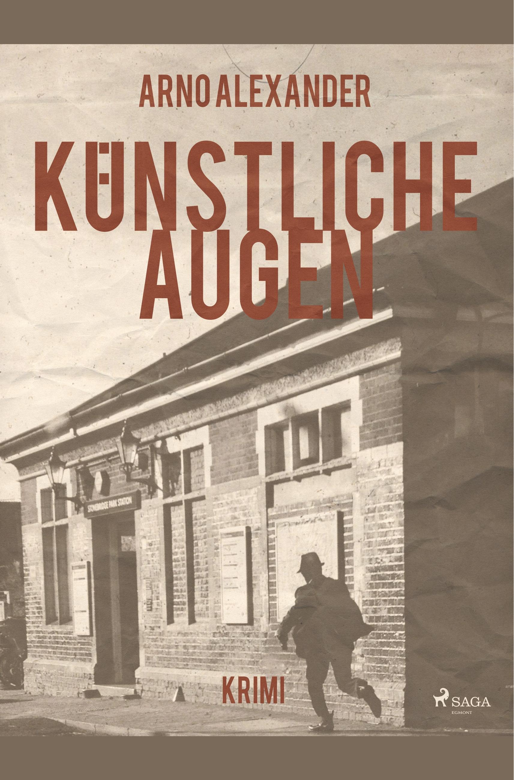 Vorderes Coverbild Künstliche Augen
