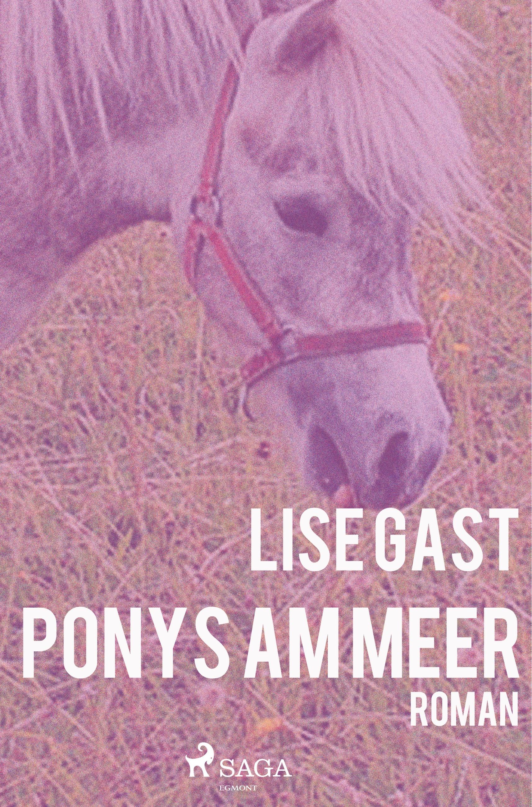 Vorderes Coverbild Ponys am Meer