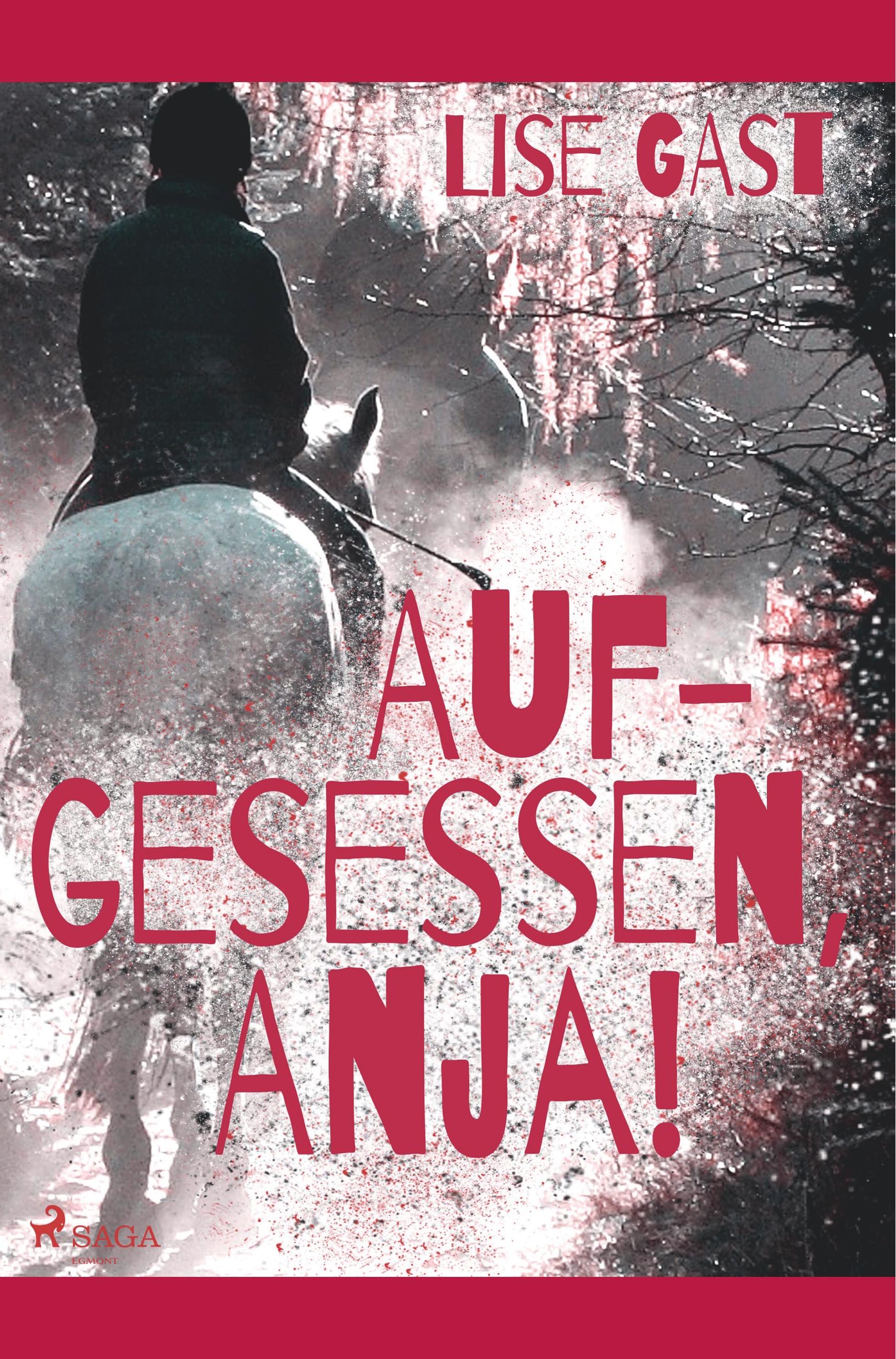 Vorderes Coverbild Aufgesessen, Anja!