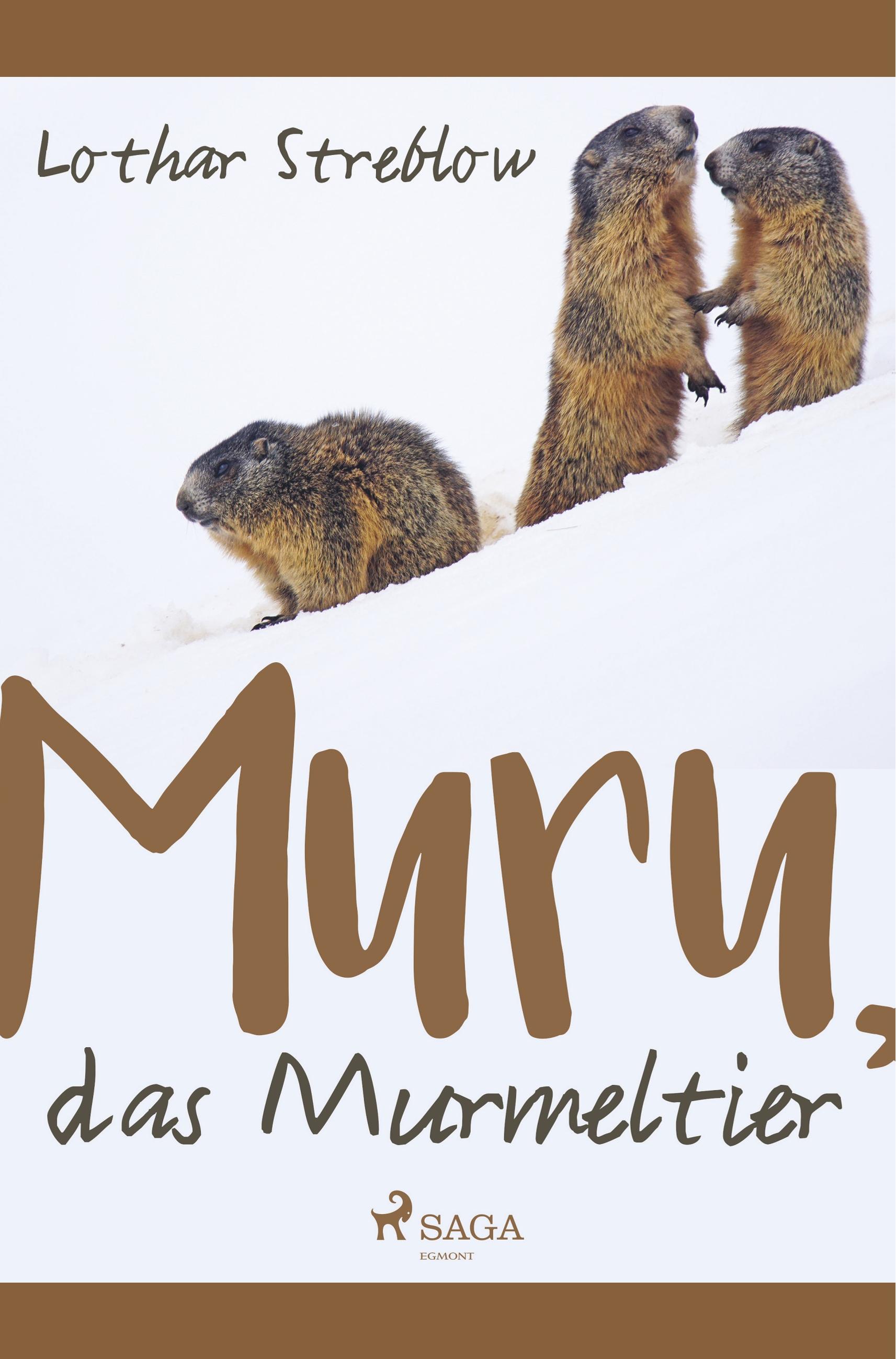 Vorderes Coverbild Murru, das Murmeltier
