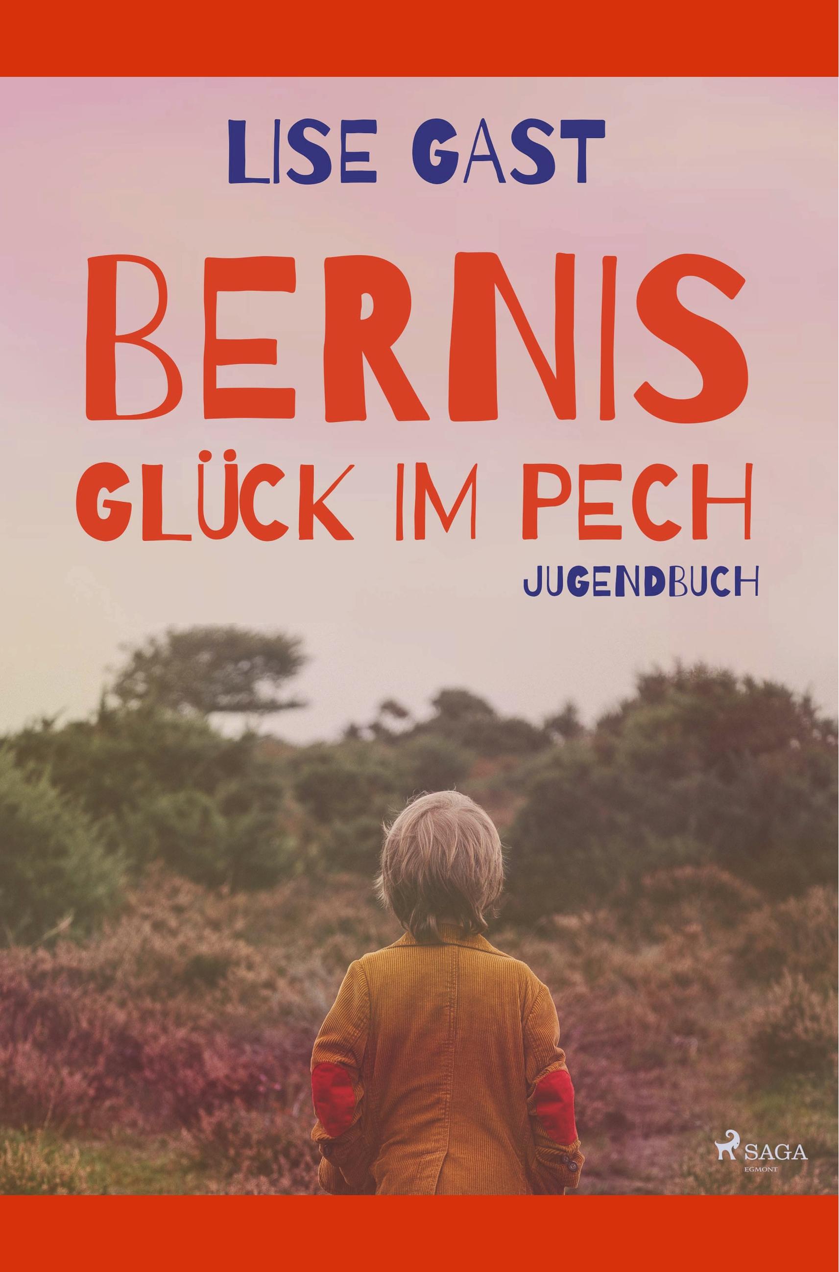 Vorderes Coverbild Bernis Glück im Pech