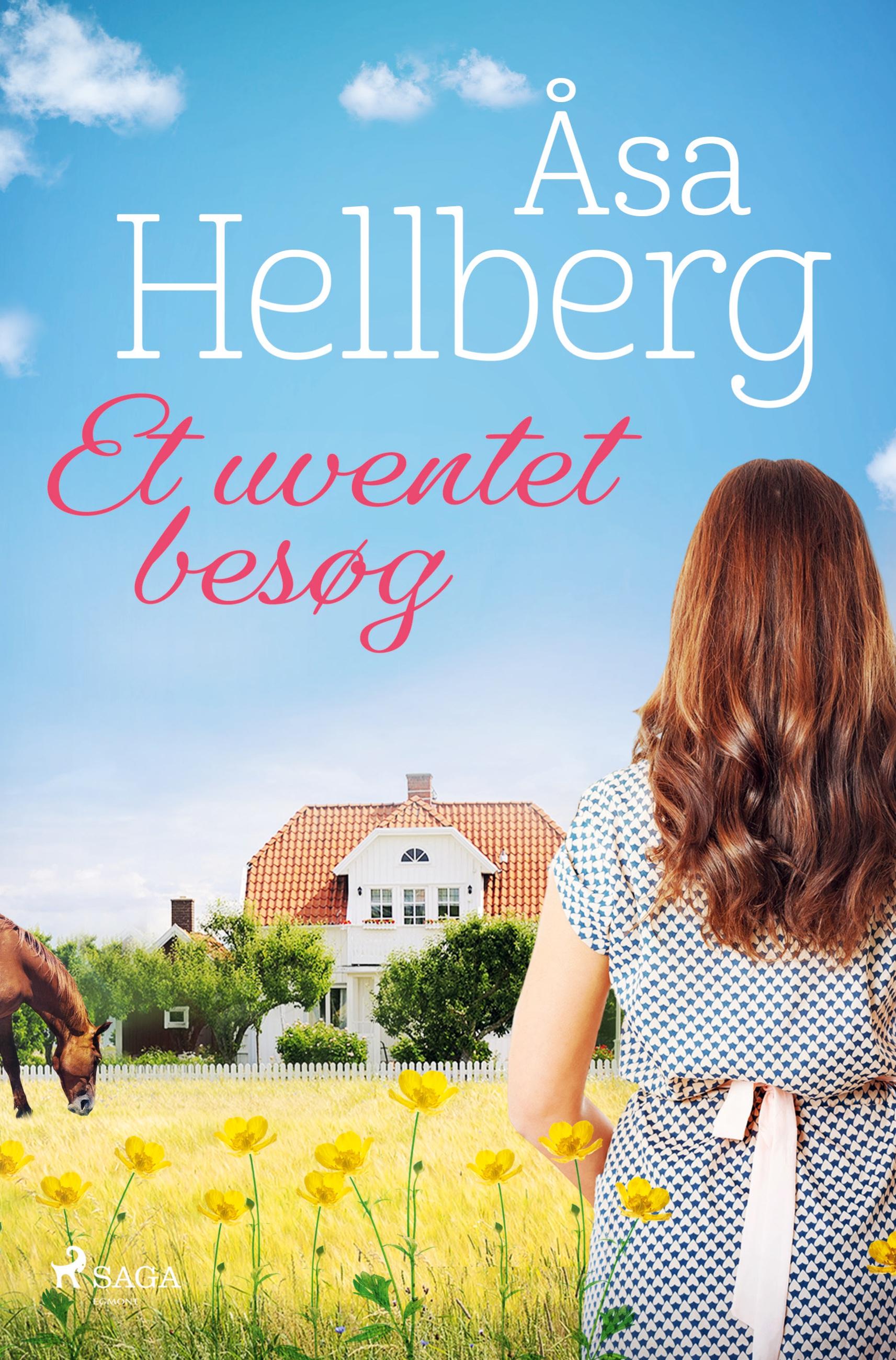 Vorderes Coverbild Et uventet besøg