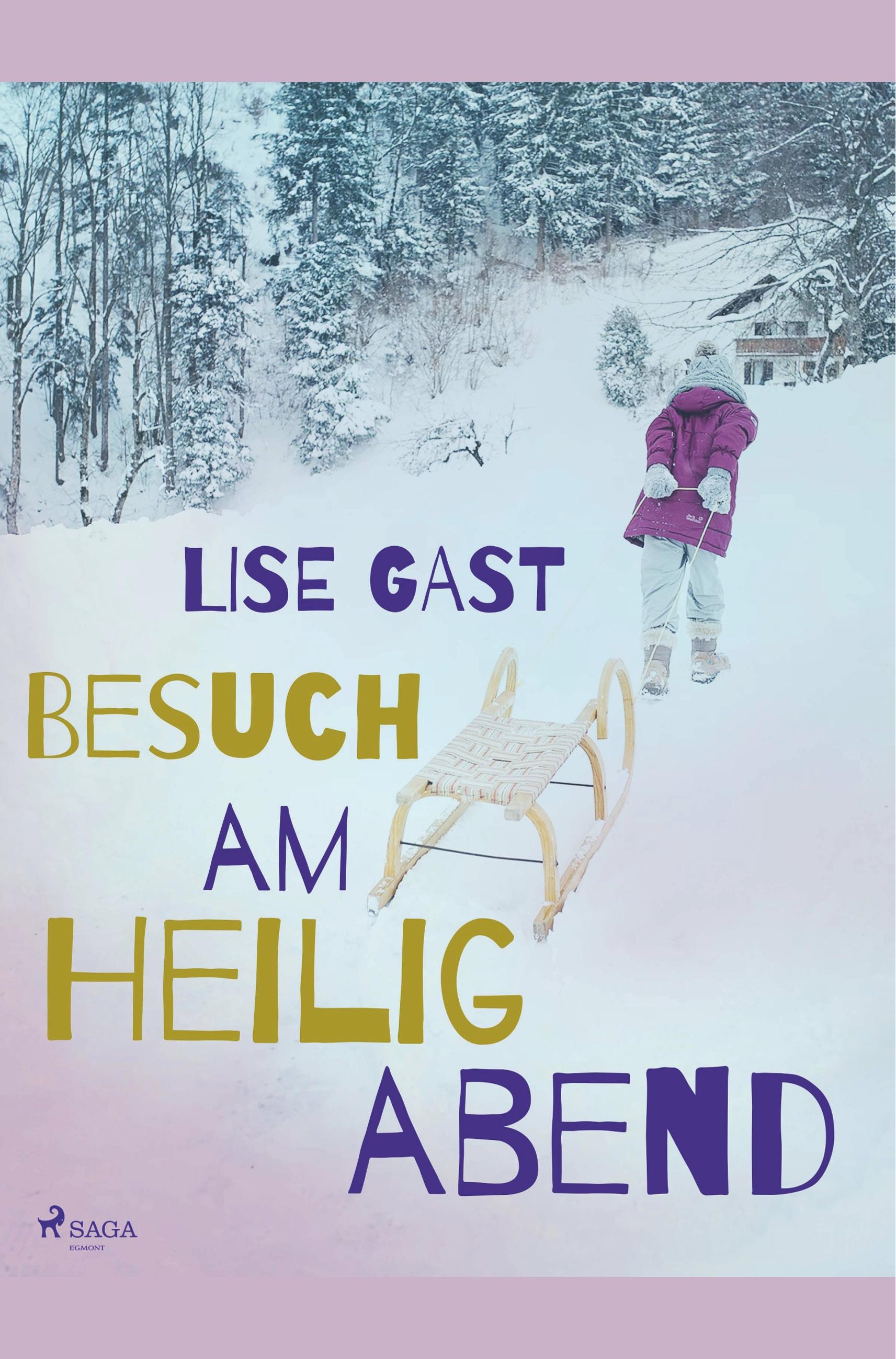 Vorderes Coverbild Besuch am Heiligabend