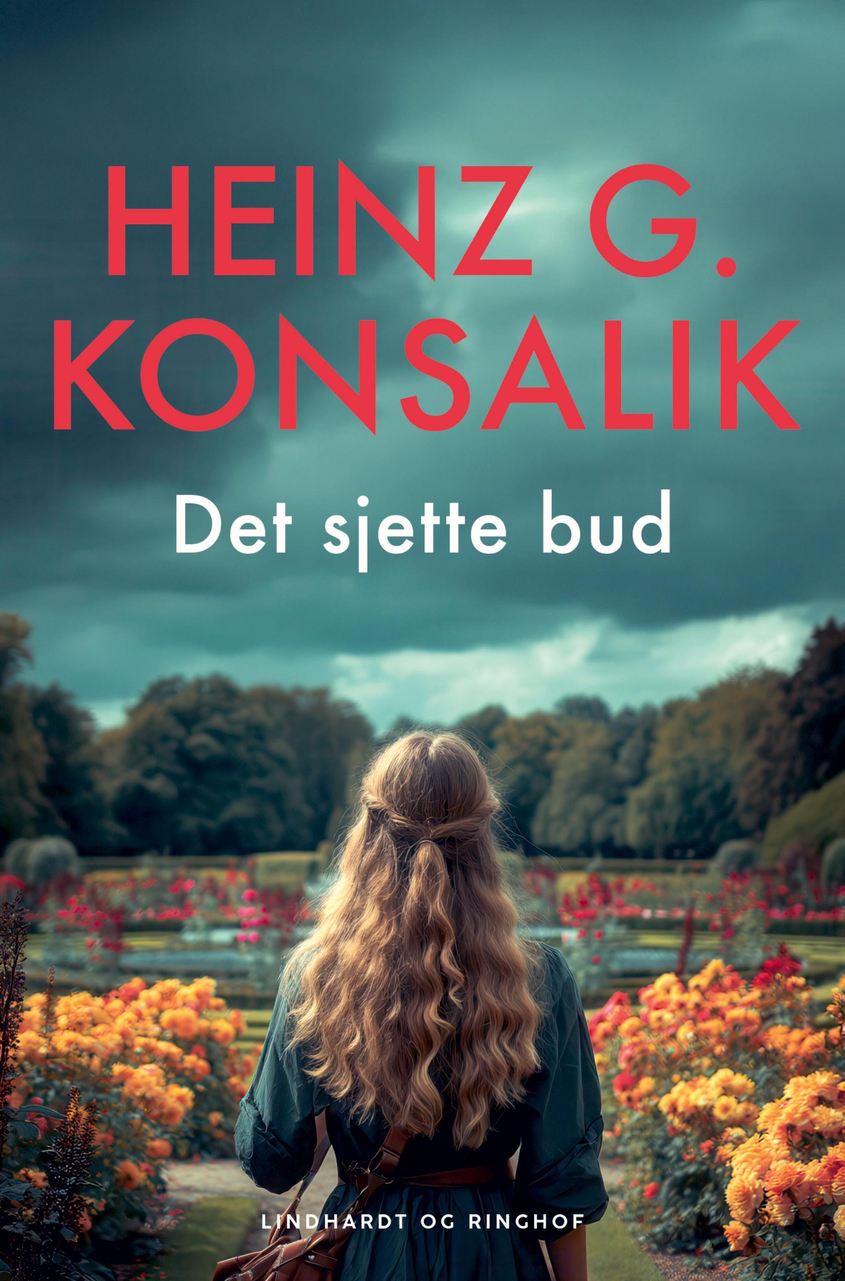 Vorderes Coverbild Det sjette bud