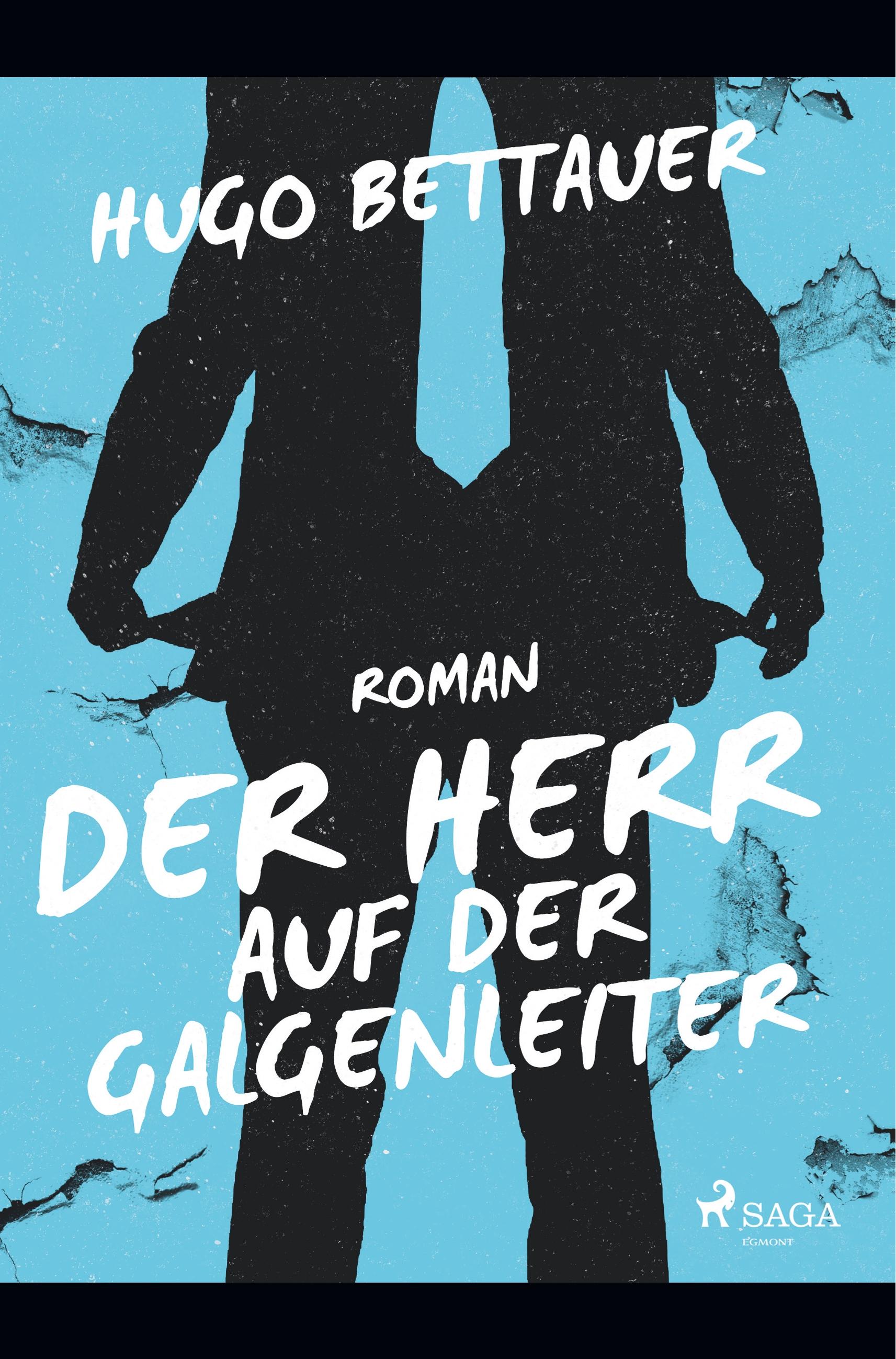 Vorderes Coverbild Der Herr auf der Galgenleiter