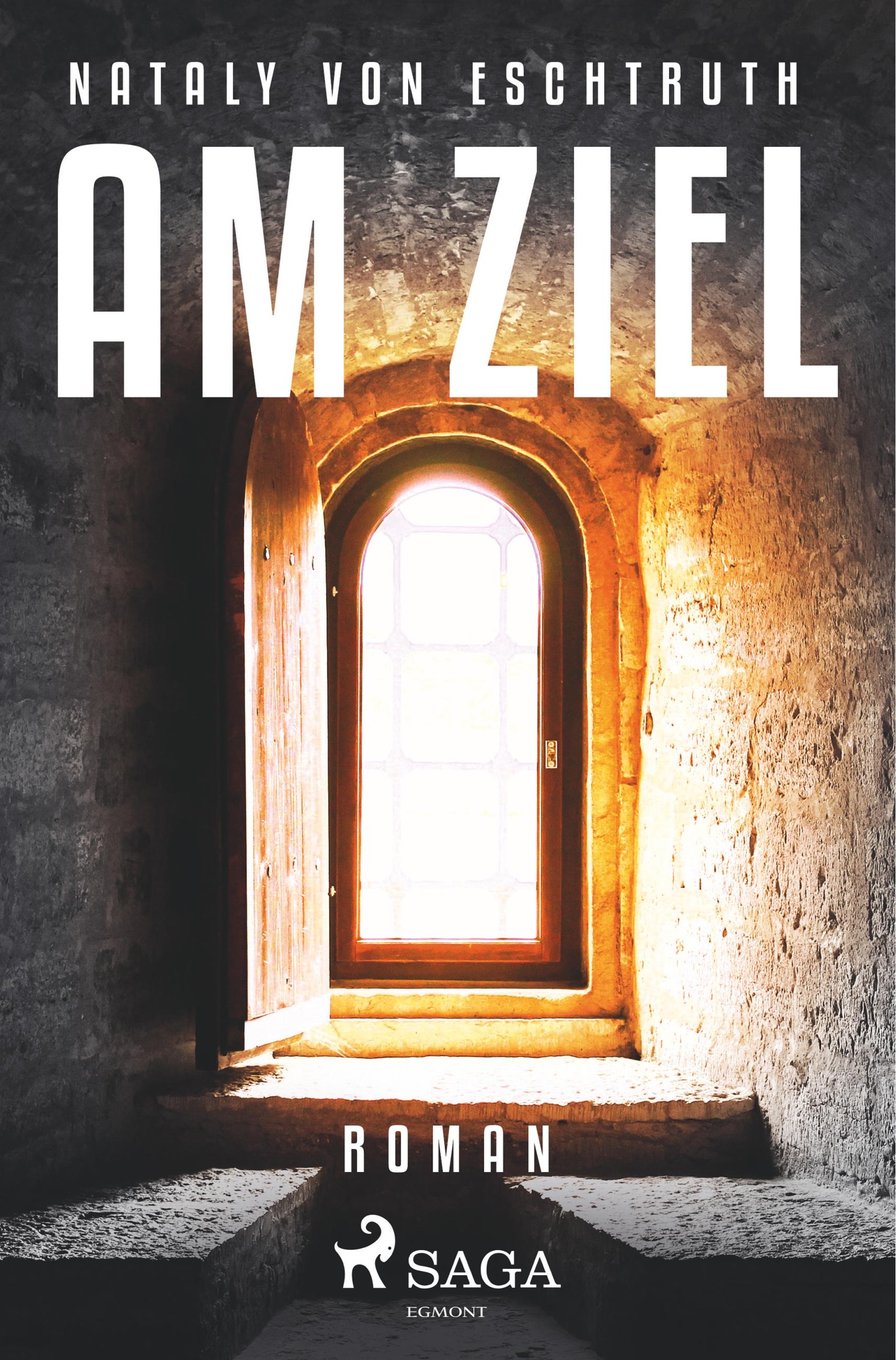 Vorderes Coverbild Am Ziel