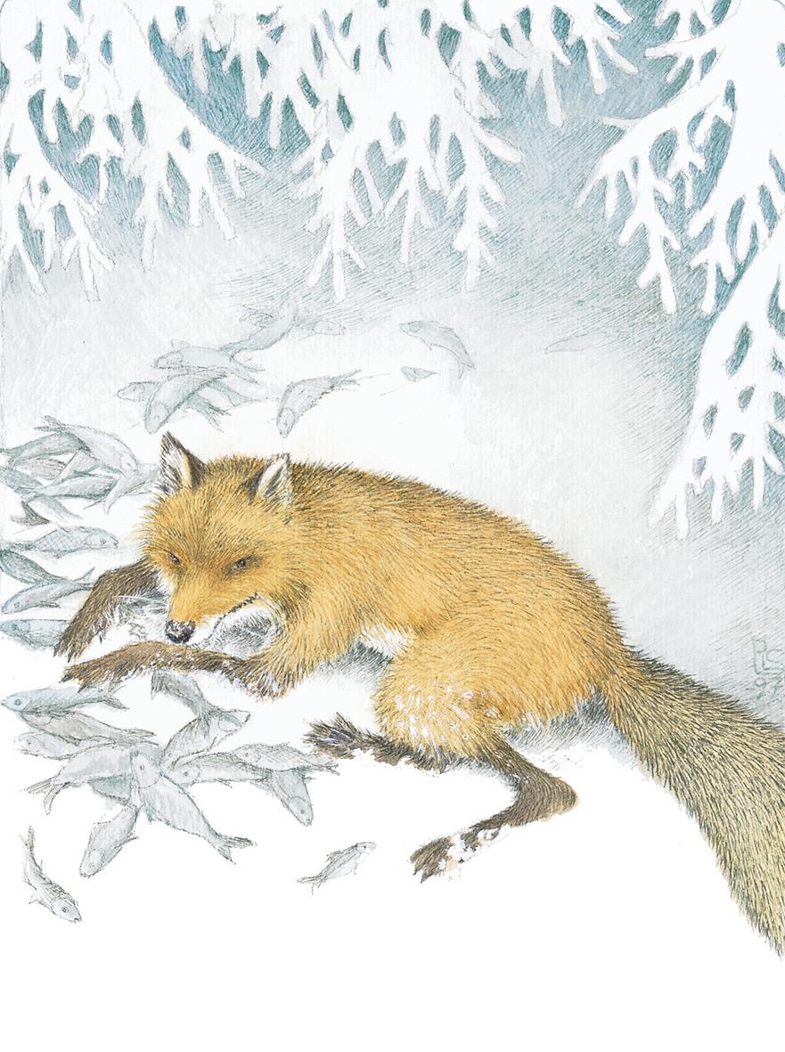 Beispielinhalt (Bild) Von Fuchs, Wolf und Bär ...