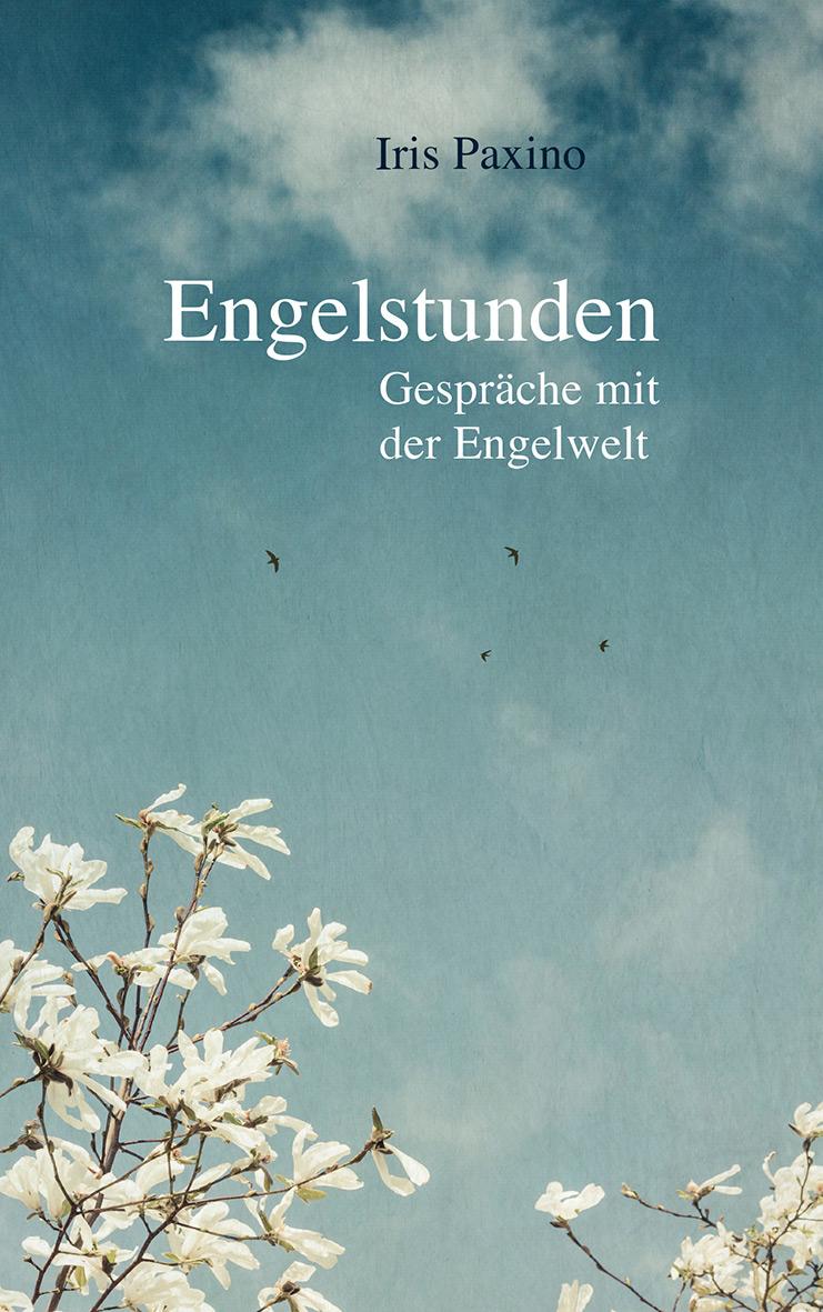 Vorderes Coverbild Engelstunden